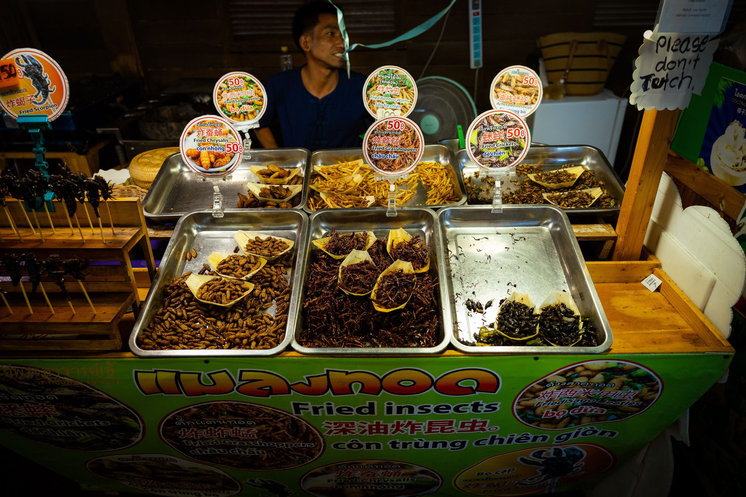 Таиланд (зима 2025). Фотограф Виноградов Константин