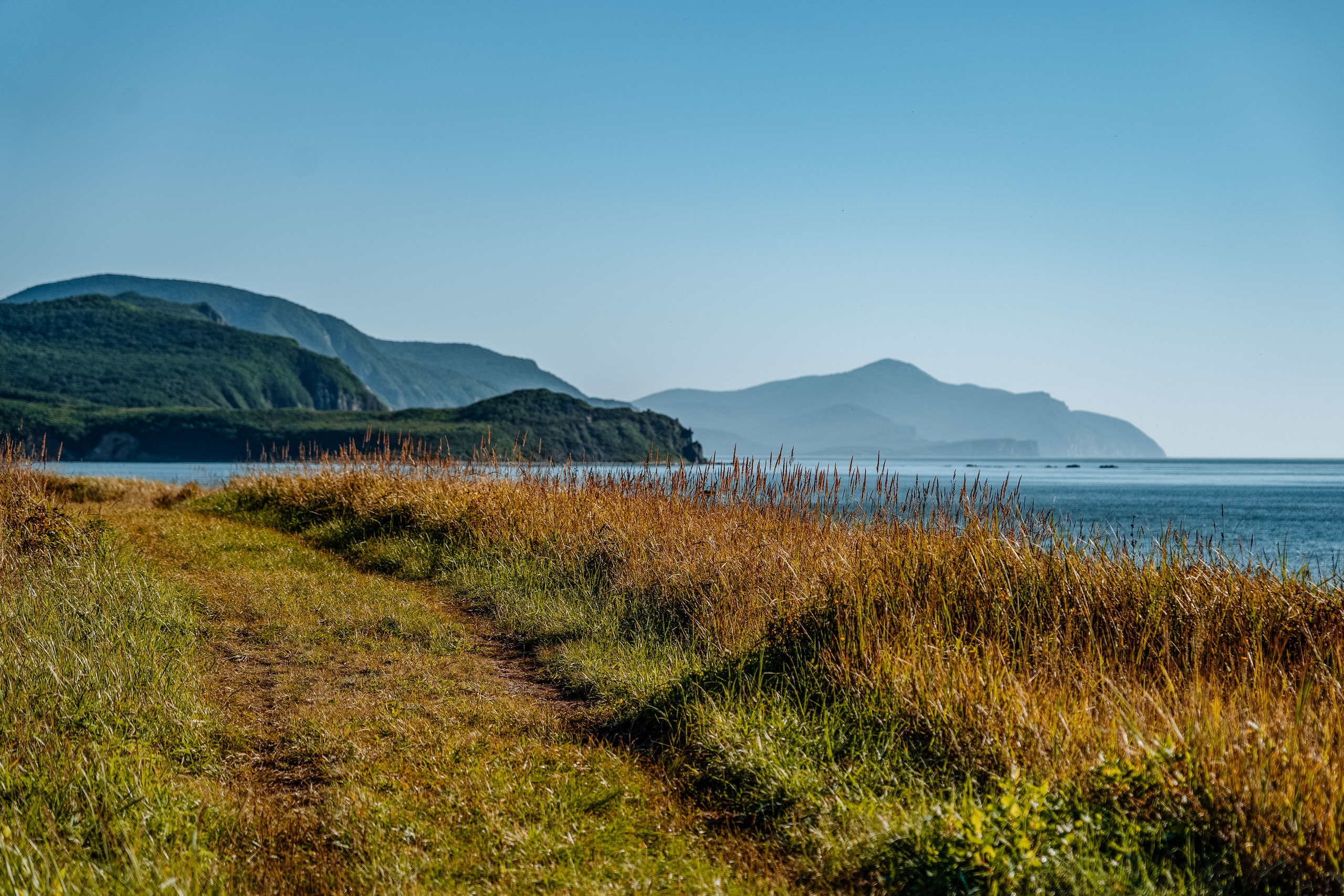 Сихотэ-Алинский заповедник, Приморский край. Репортажный фотограф в Крыму Ксения Гасица