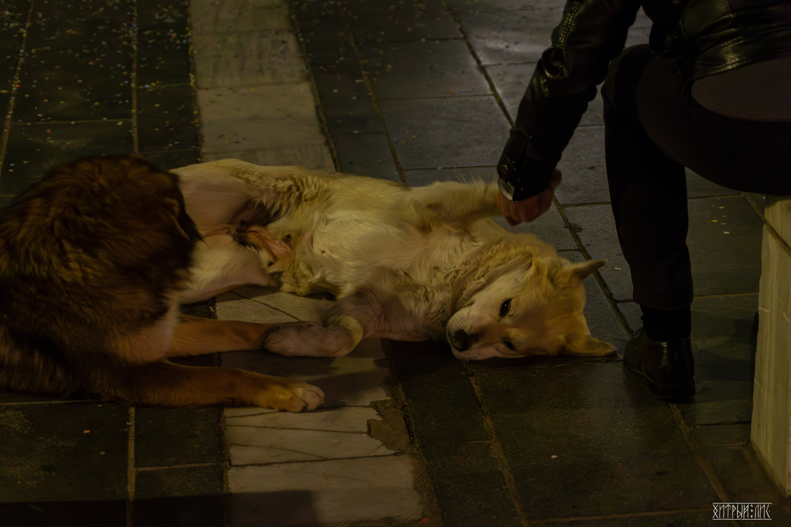 Афины. Фотограф-путешественник Самойлов Максим «Sly Fox»