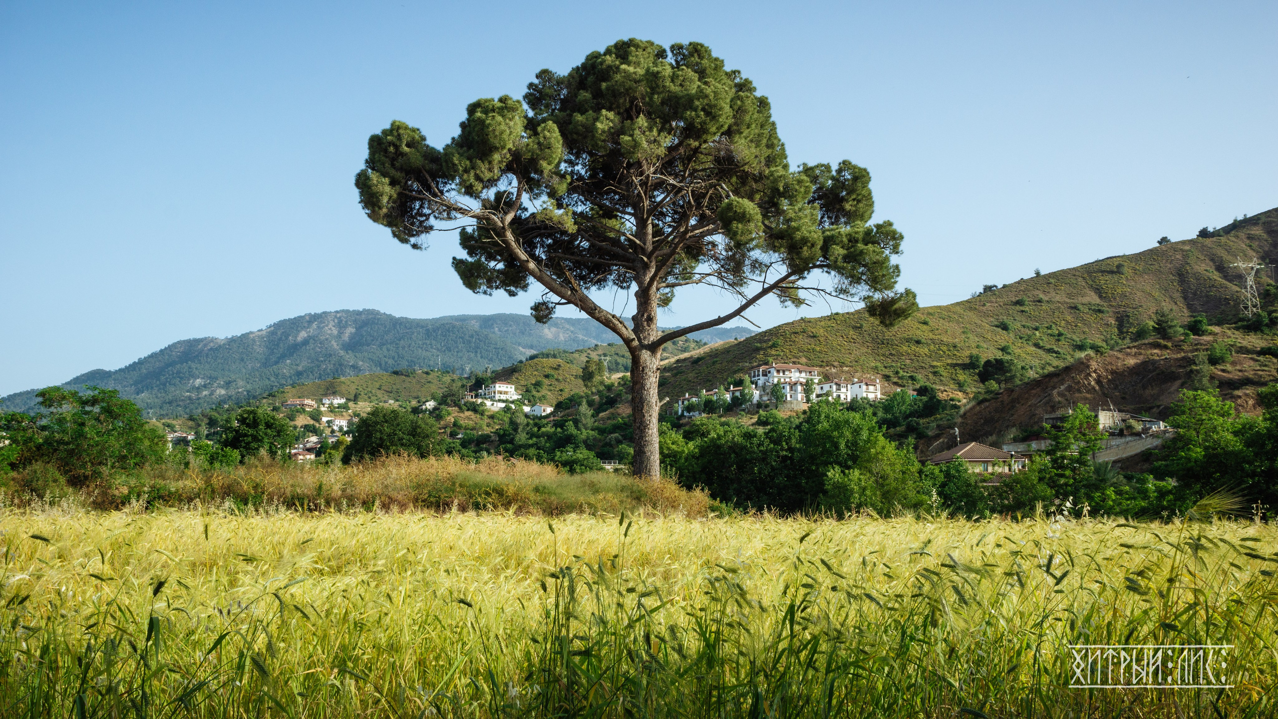 Кипр. Фотограф-путешественник Самойлов Максим «Sly Fox»