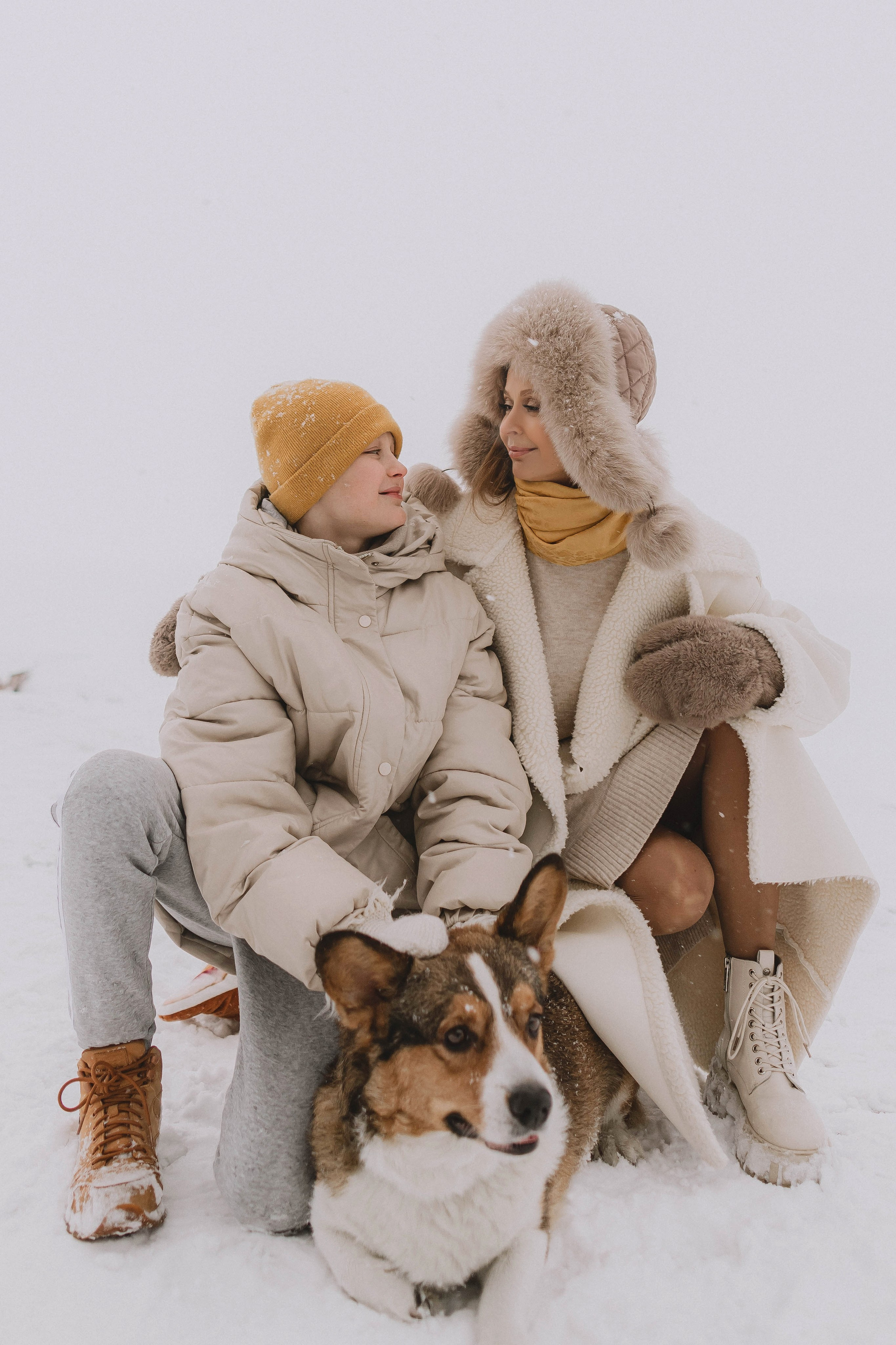 Семейная веселая фотосъемка с собакой корги на улице зимой, в снегу.