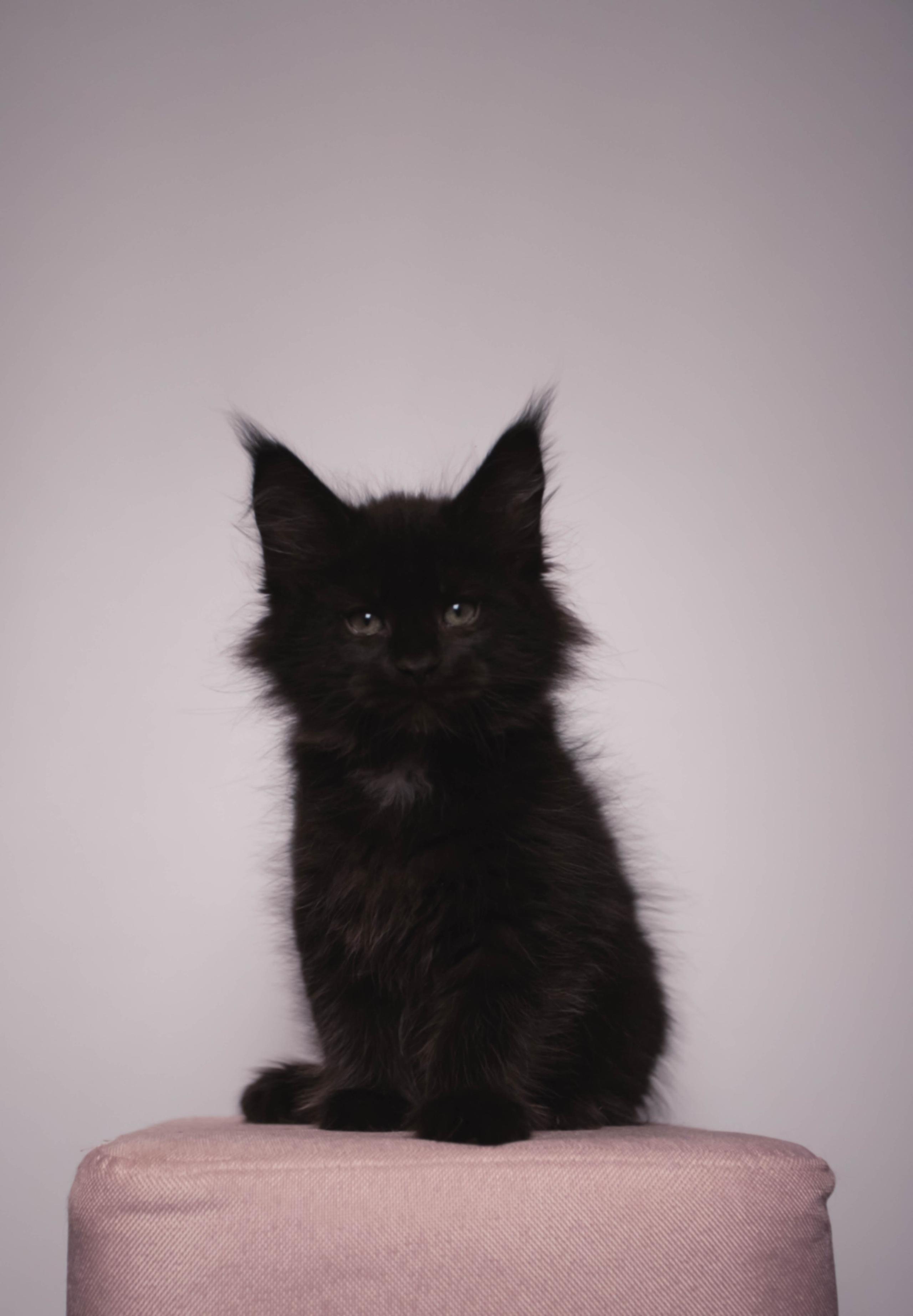 HanFors. Женский и предметный фотограф