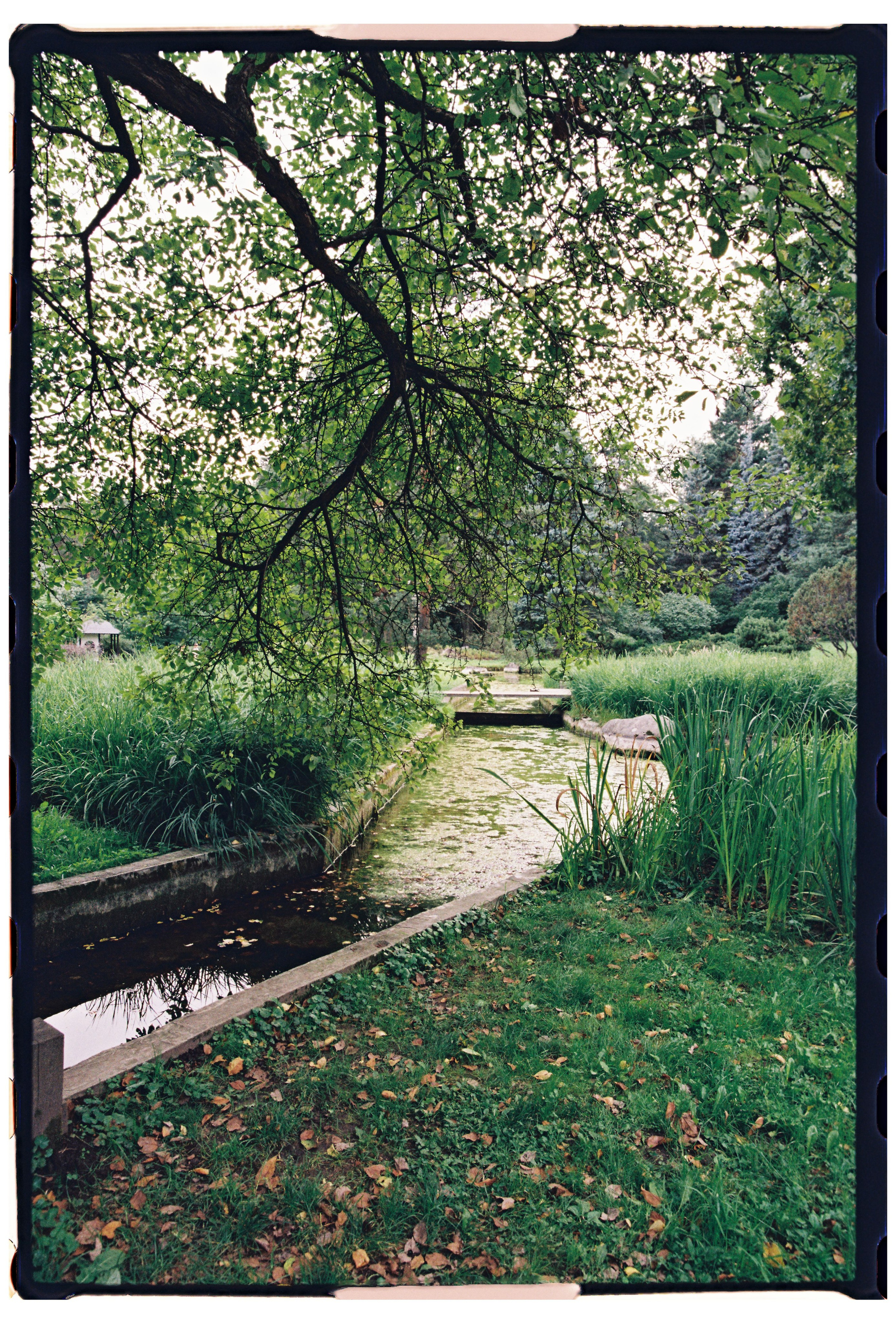 Модель Ася, пленка. Фотограф в Москве. Екатерина Митина