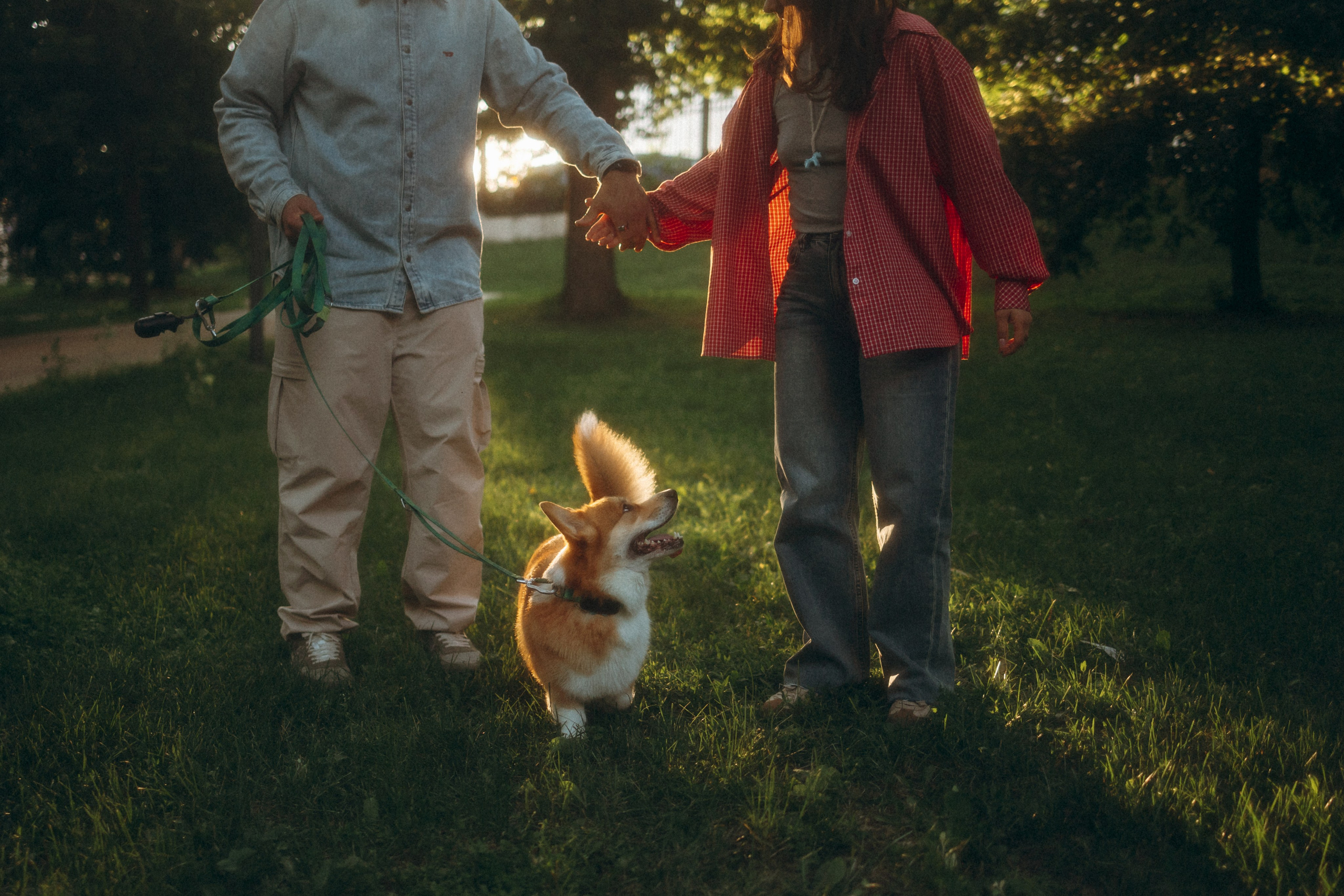 Момо, Люда и Эд. Фотограф анималист Анастасия Пикей