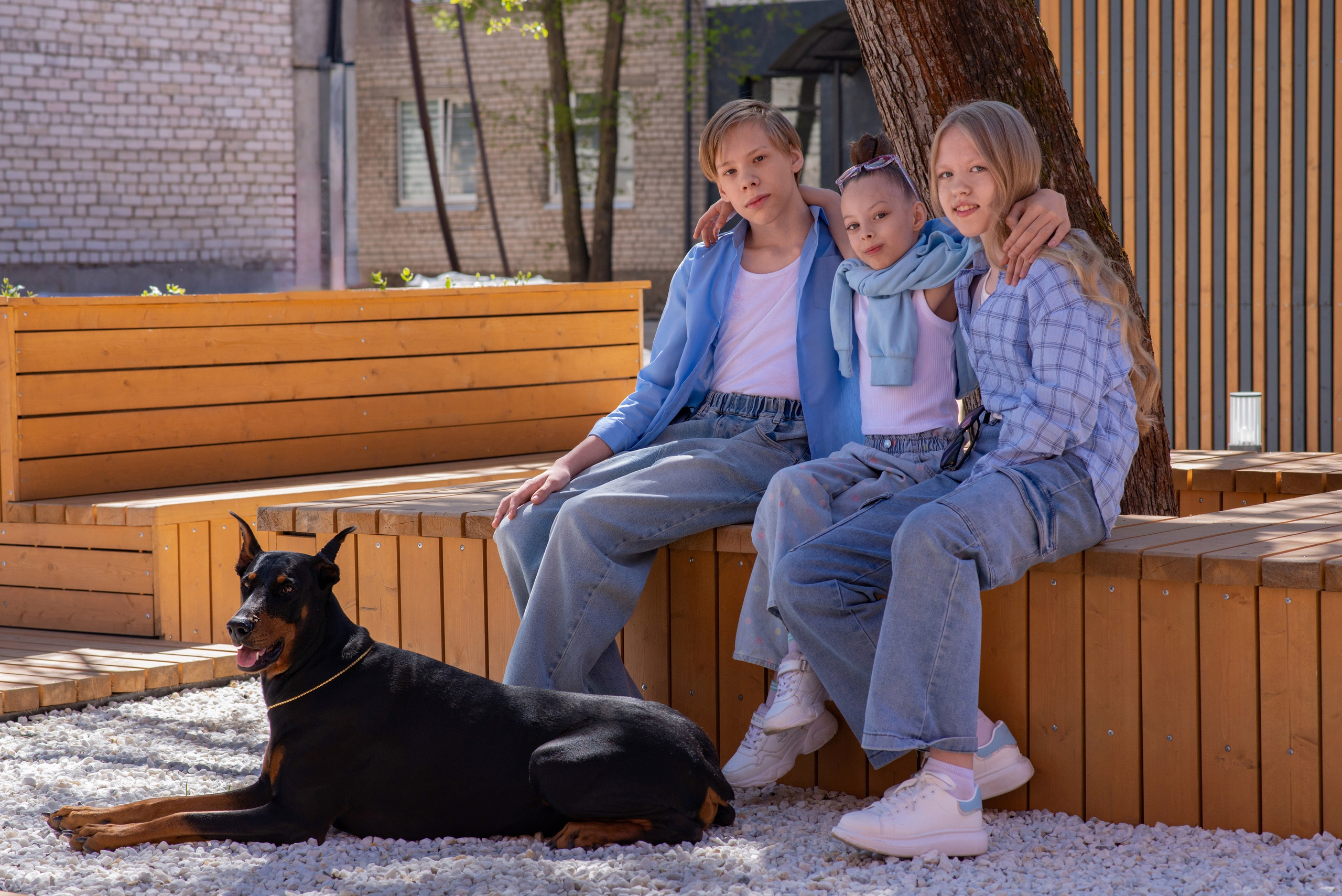 Уличная Фотопроект «Доберман». Фотограф Софья Власенко | Вологда