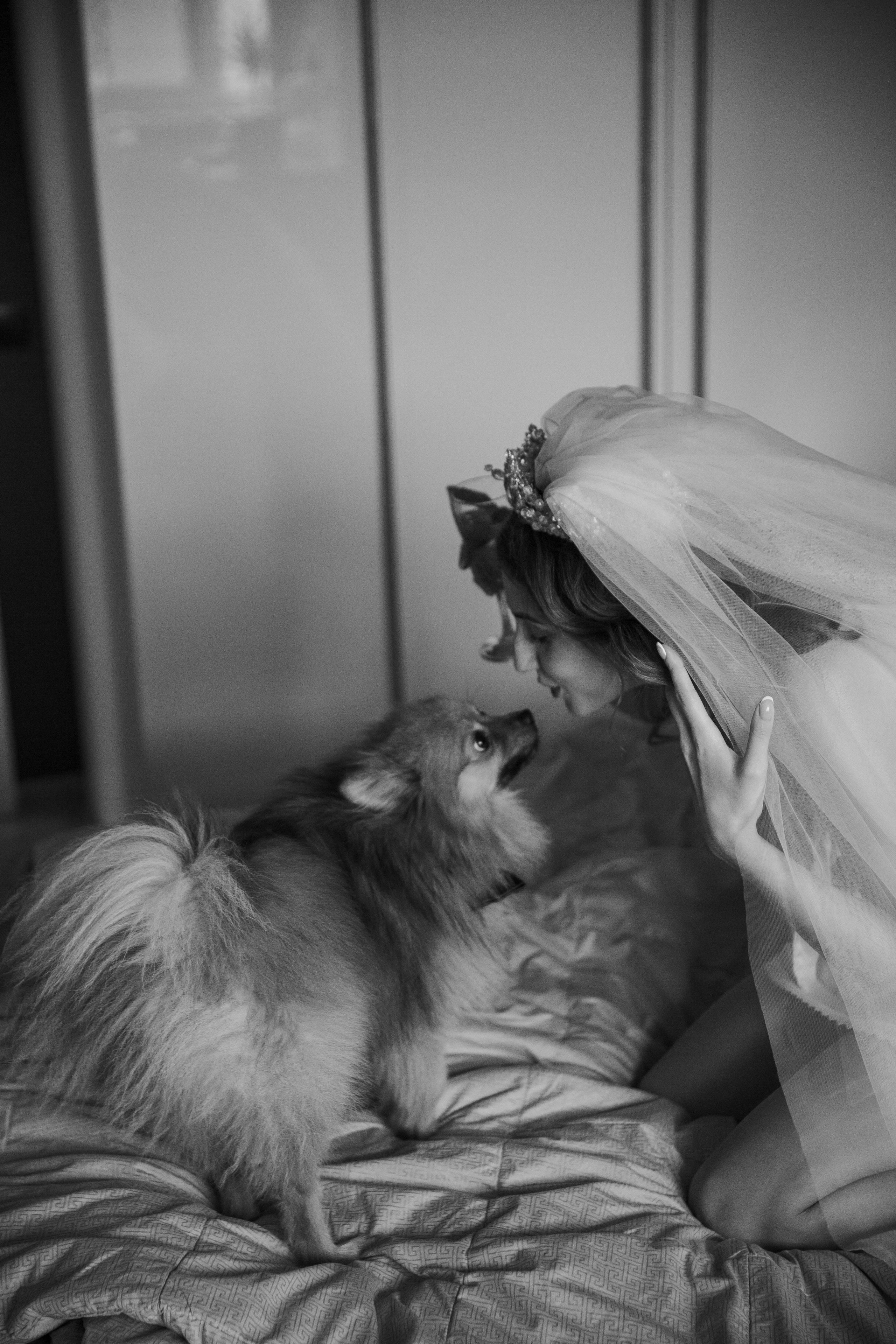 Алексей и Алина. Мозжерина Ирина — Свадебный и семейный фотограф в Екатеринбурге