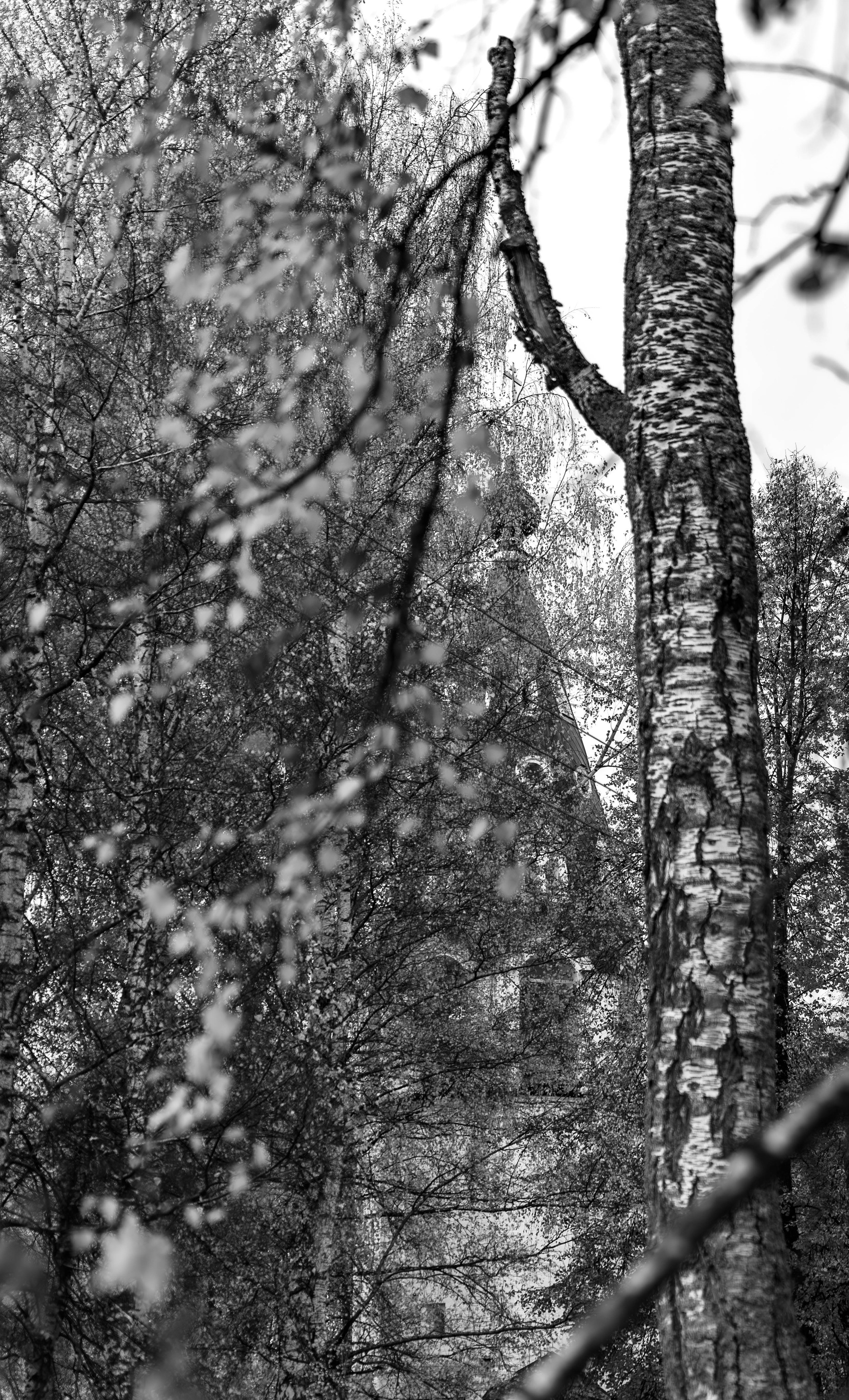 СТРИТ. АЛЕКСЕЙ КОЛМАКОВ. Фотограф. Москва и Московская область