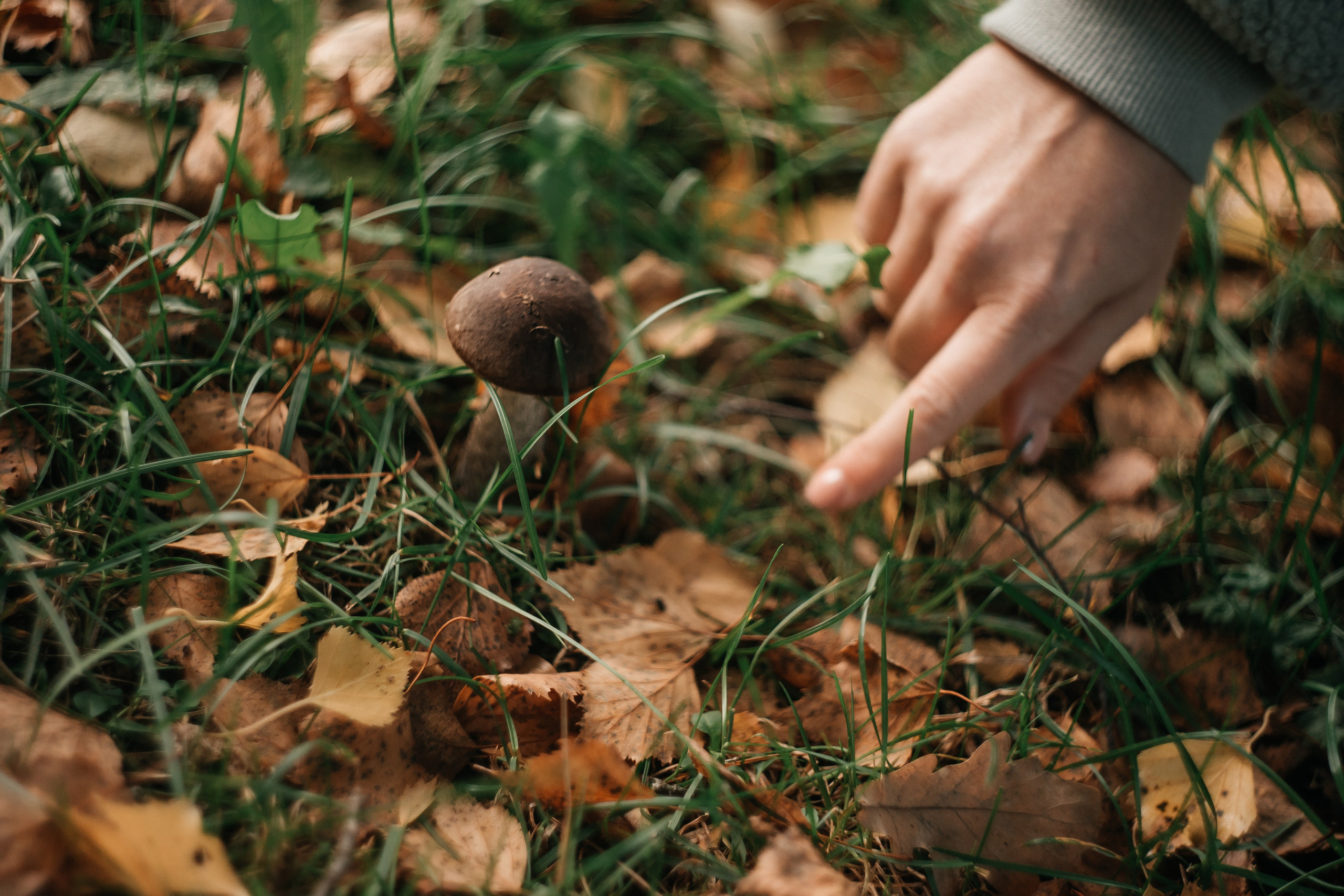 Ирина. Портретный и семейный фотограф Ксения Казанцева