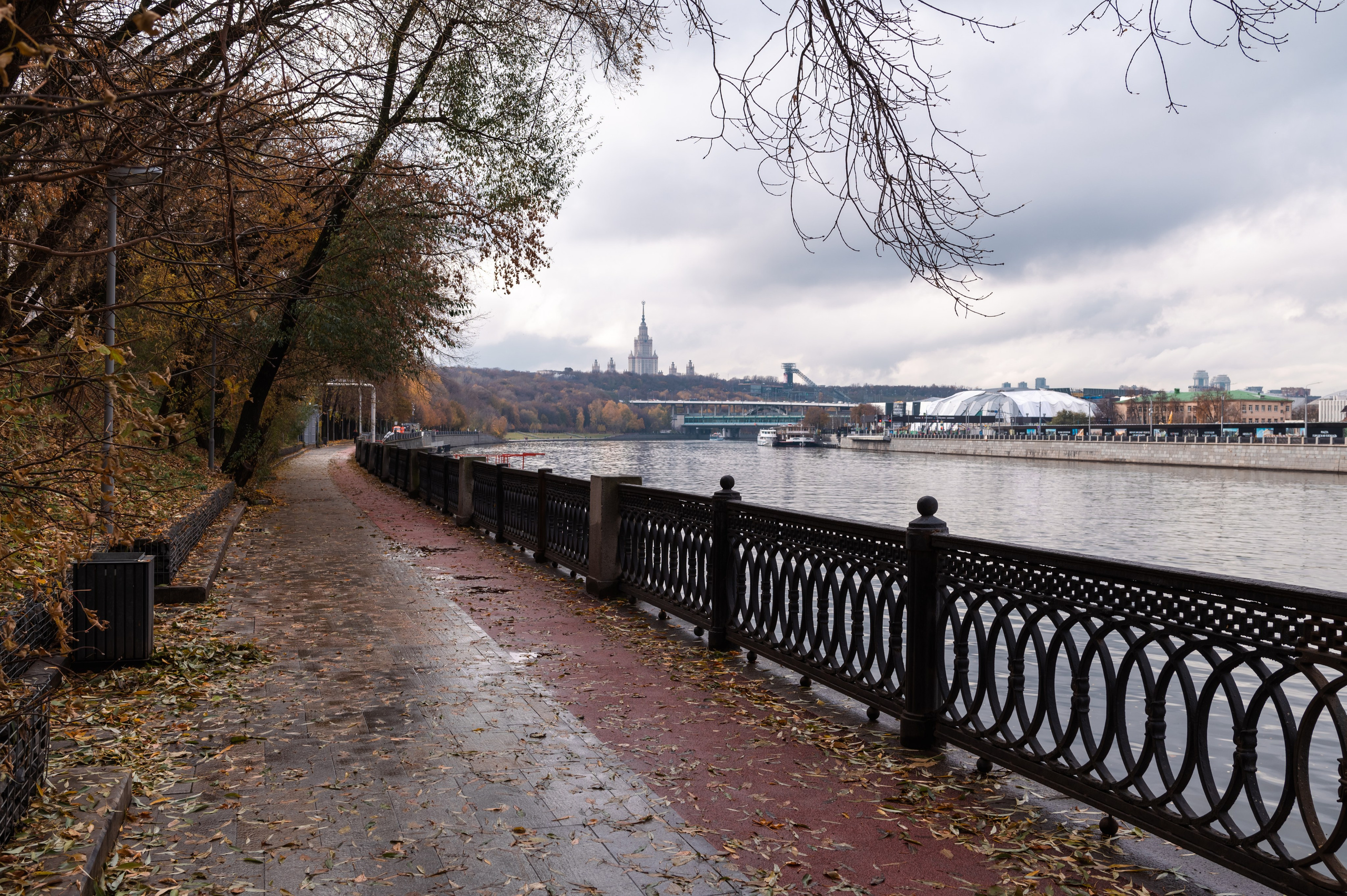 20231031 Нескучный сад. Дмитрий Ремизов. Фотография, как хобби