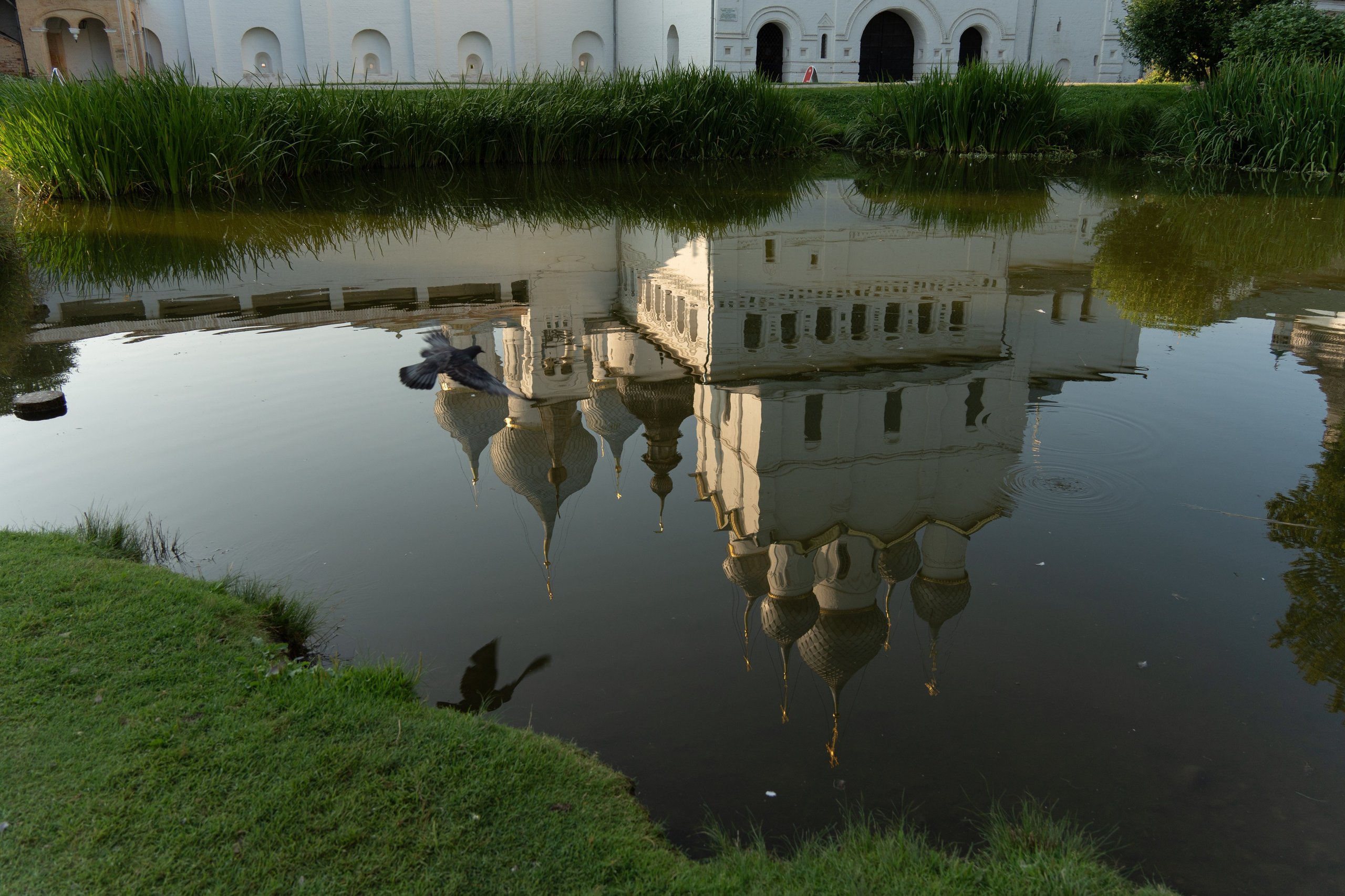 20250729-30 Ростов. Дмитрий Ремизов. Фотография, как хобби