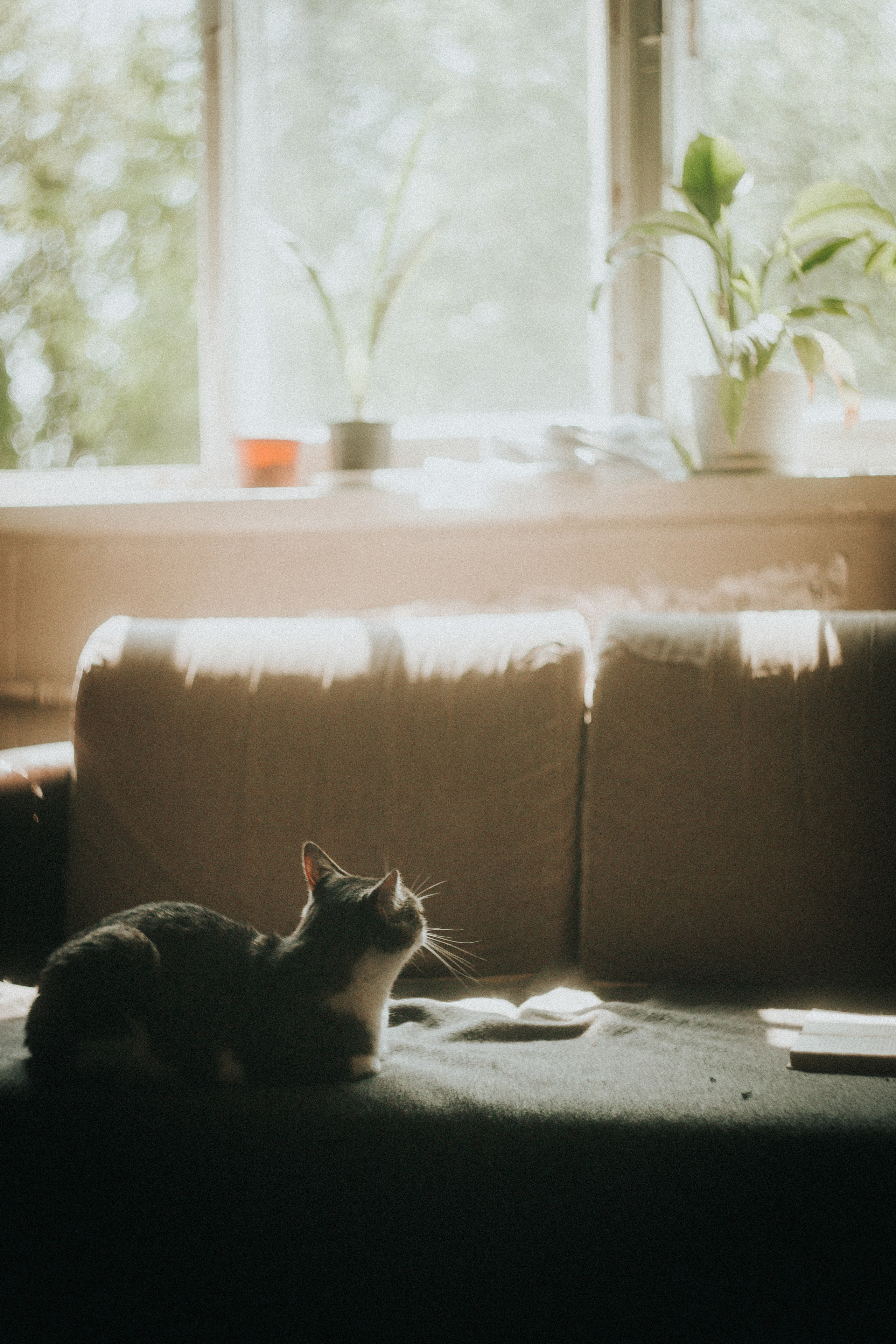 Юля Заковеря. Фотограф в Нижнем Новгороде