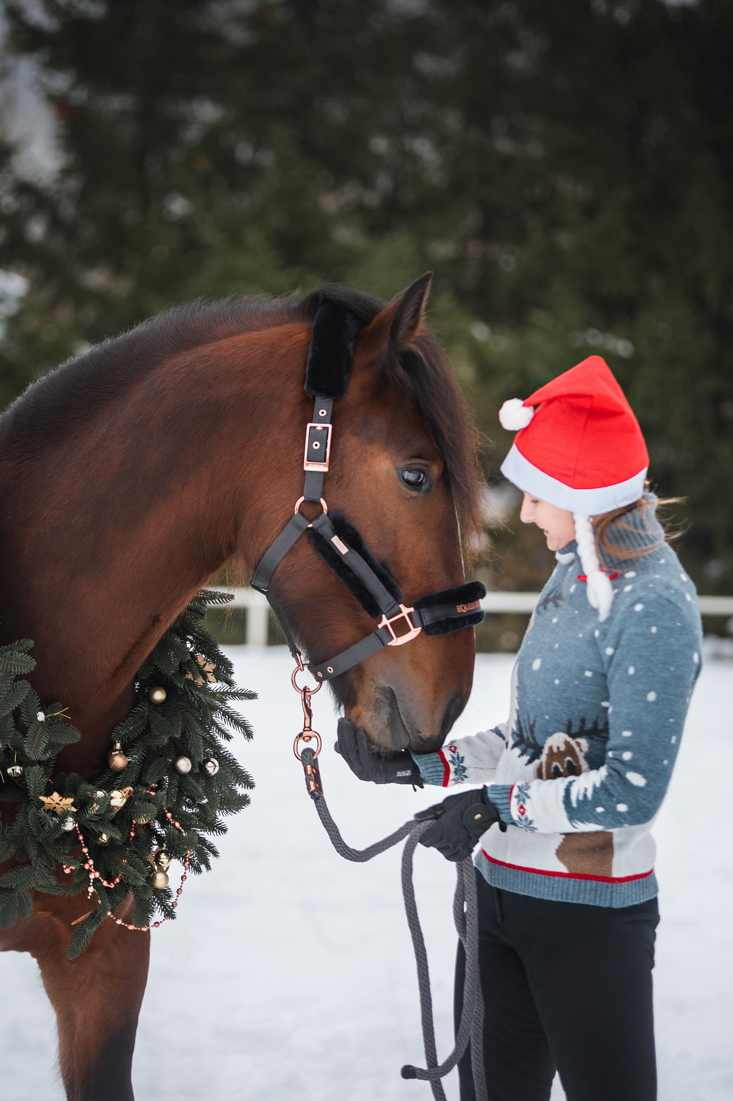 Новогодний Волконский. Конный фотограф Куракина Дарья • Фотосессии с лошадьми