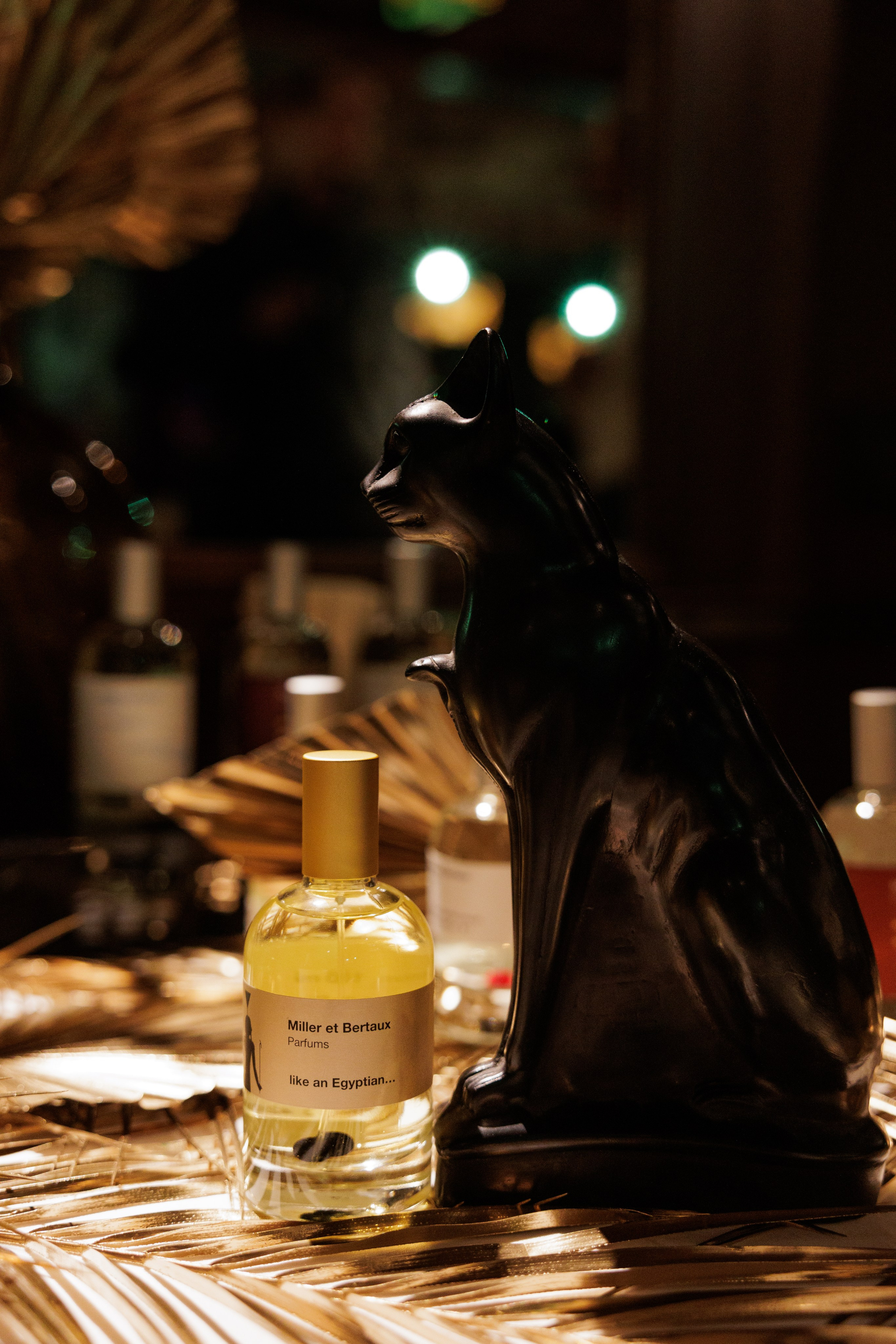 Miller et Bertaux. Светский фотограф — Анисина Ирина