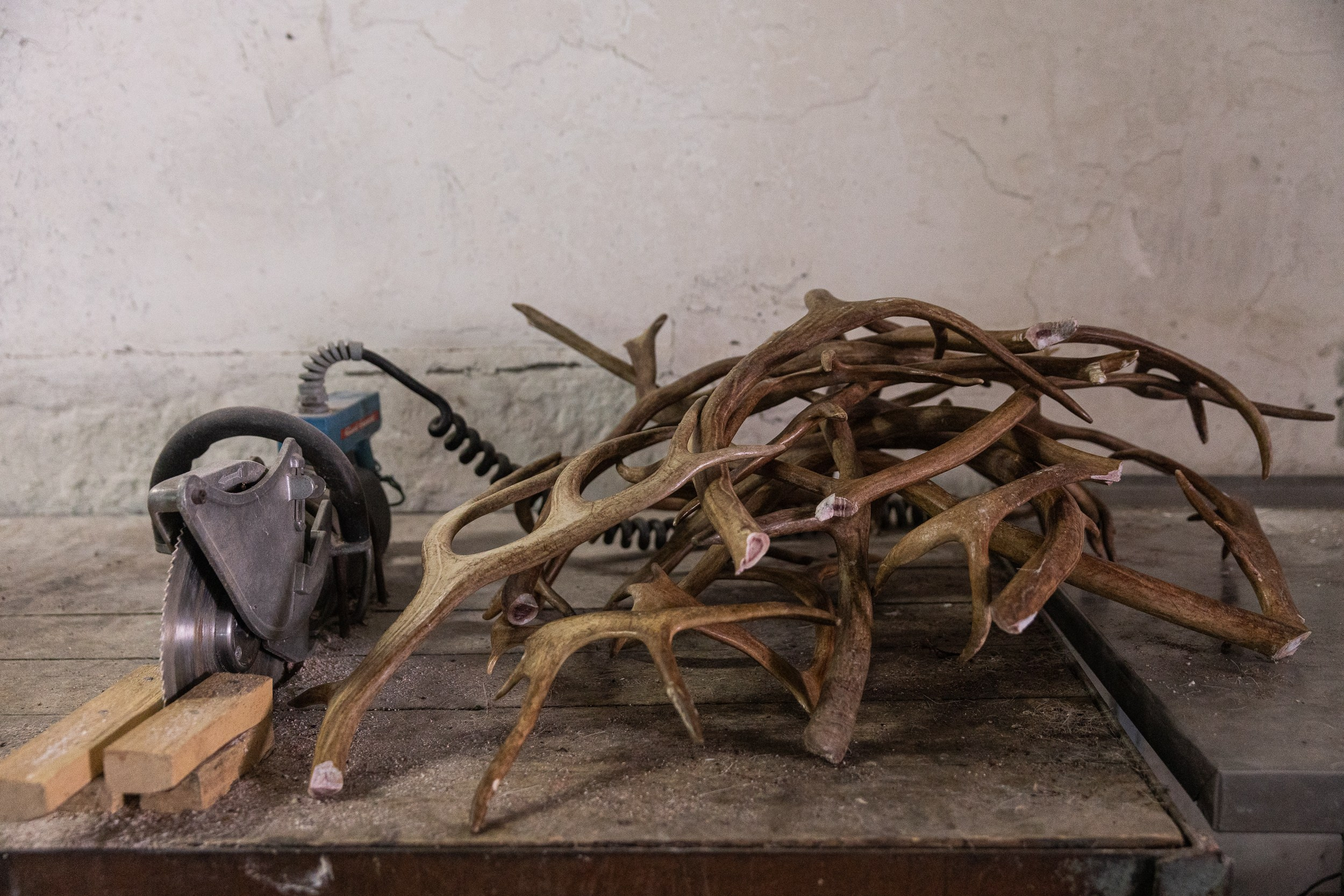 Ловозеро. Оленеводы. Алиса Северная. Визуальные исследования. Пейзажная и документальная фотография