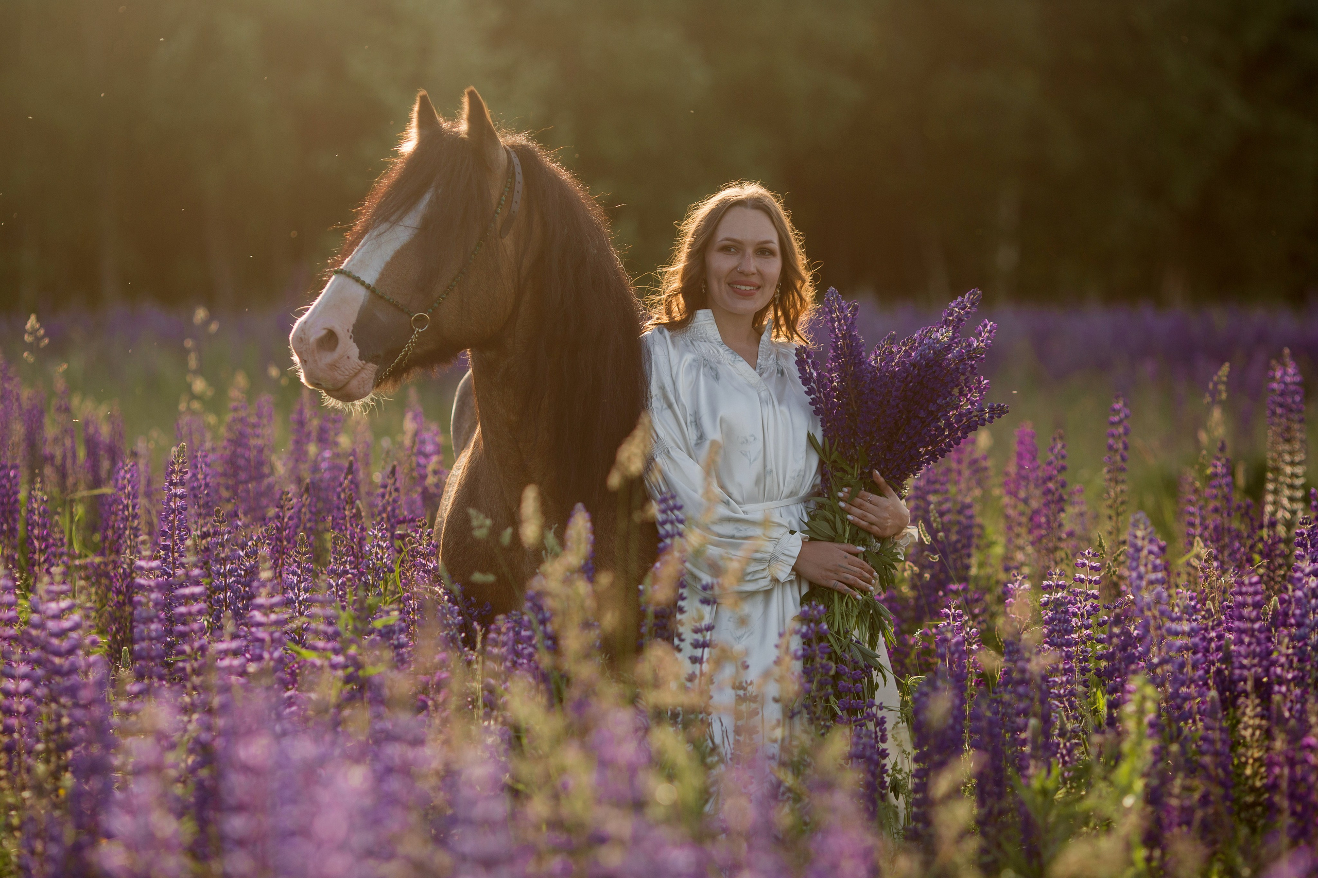 Фотосессия в люпинах с лошадью