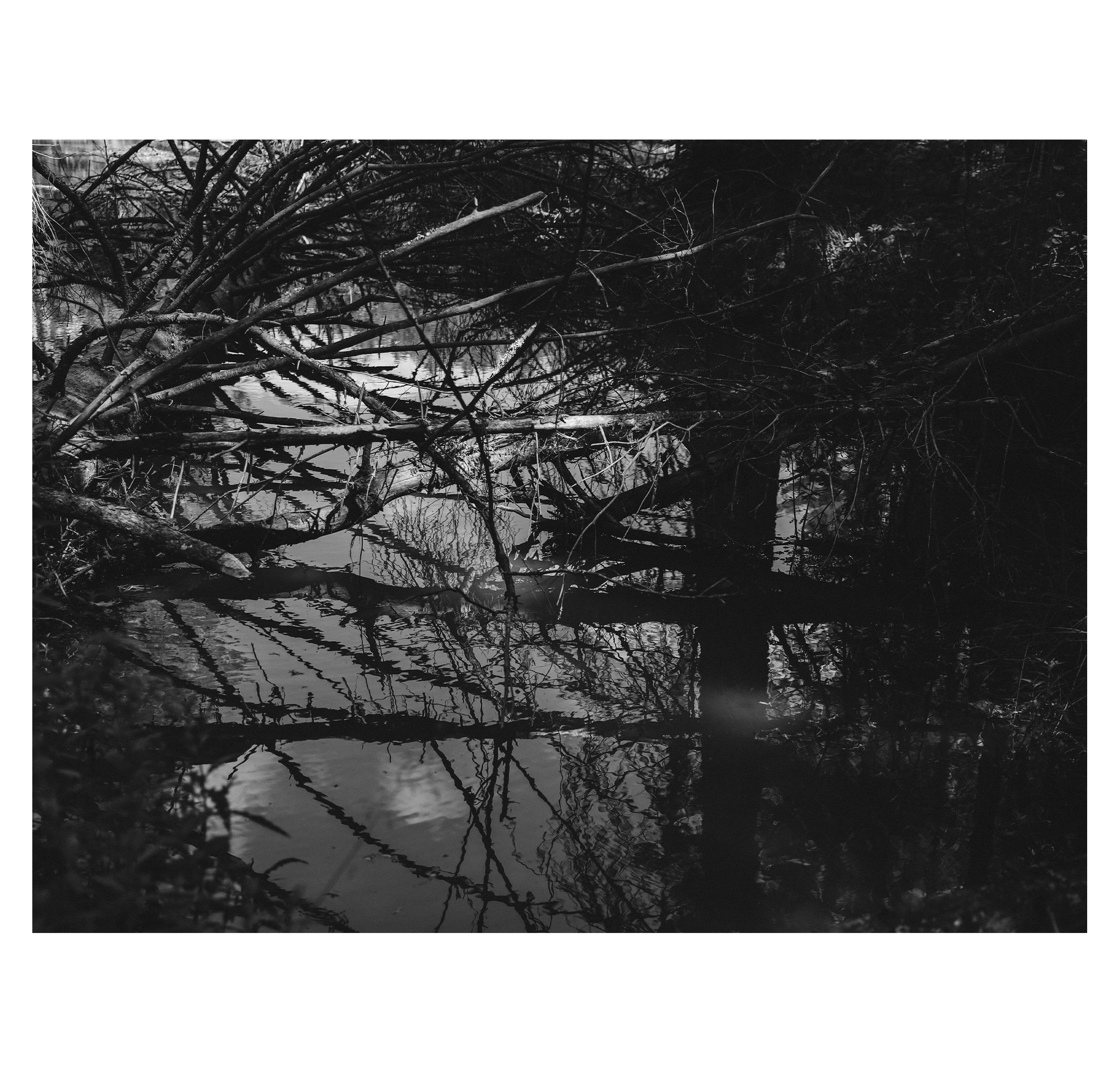 Summer hike. Фотограф/дизайнер в Екатеринбурге Хитрый Дмитрий