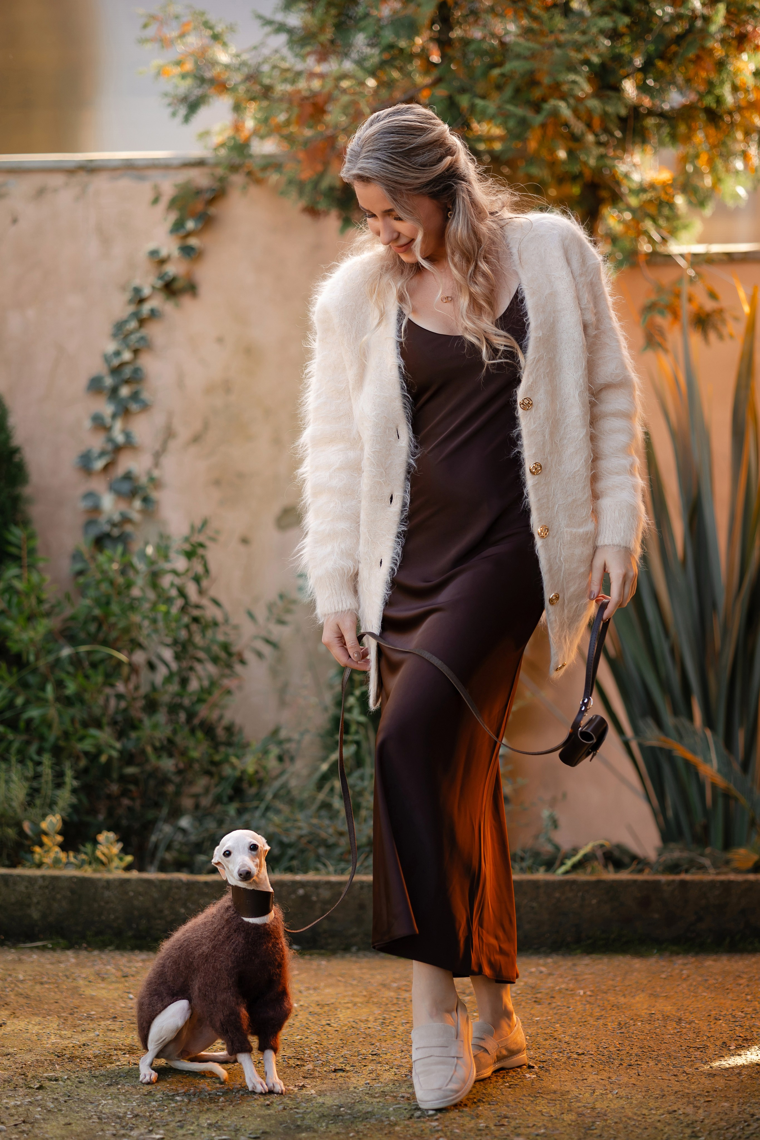 Прогулки. Профессиональный питомник левреток РКФ/FCI ASTI SAPPHIRE 💎 Сочи|Санкт-Петербург