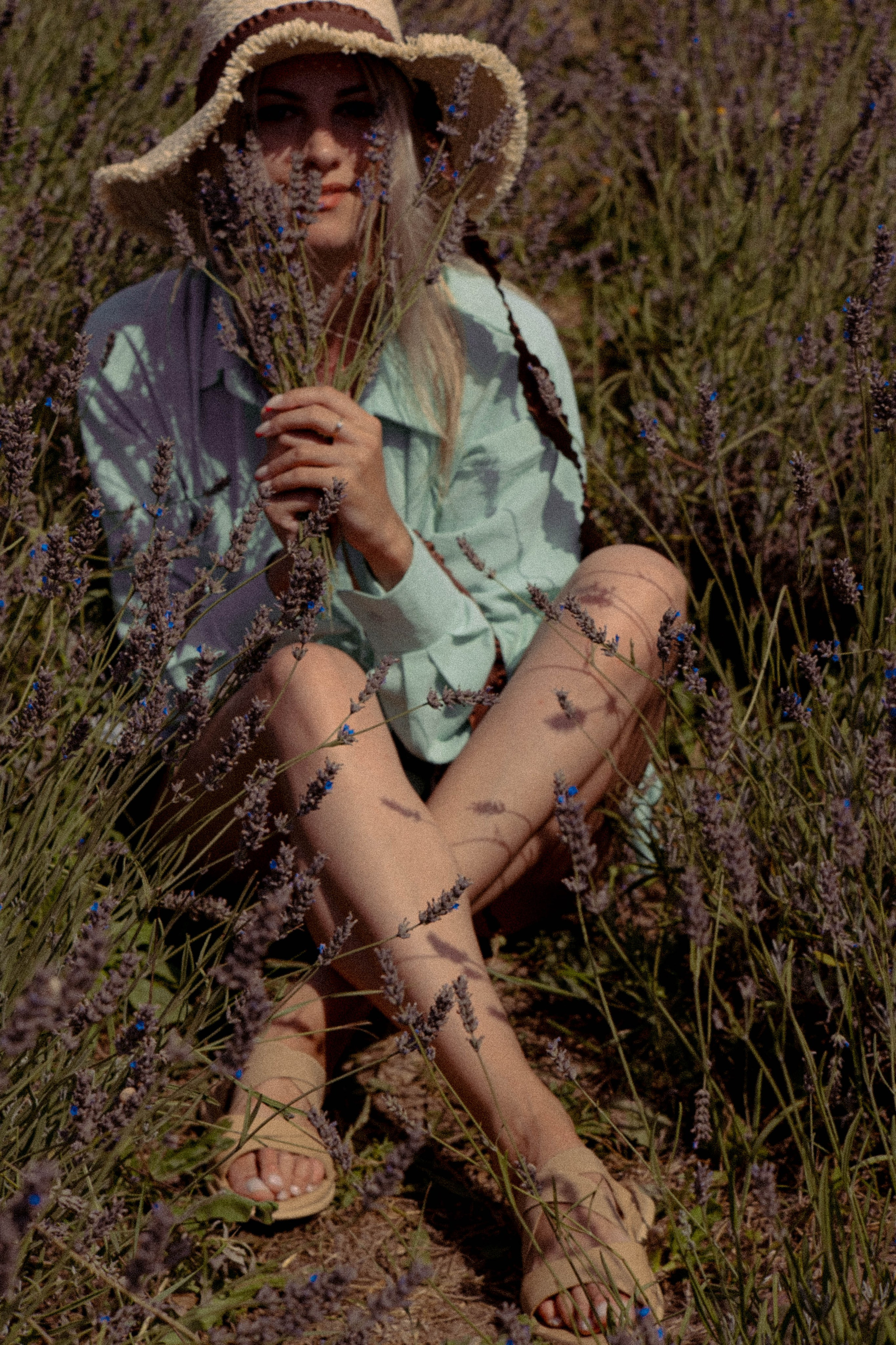 ЛАВАНВОДОВОЕ ПОЛЕ. Профессиональный фотограф, Санкт-Петербург — Виктория Богомолова