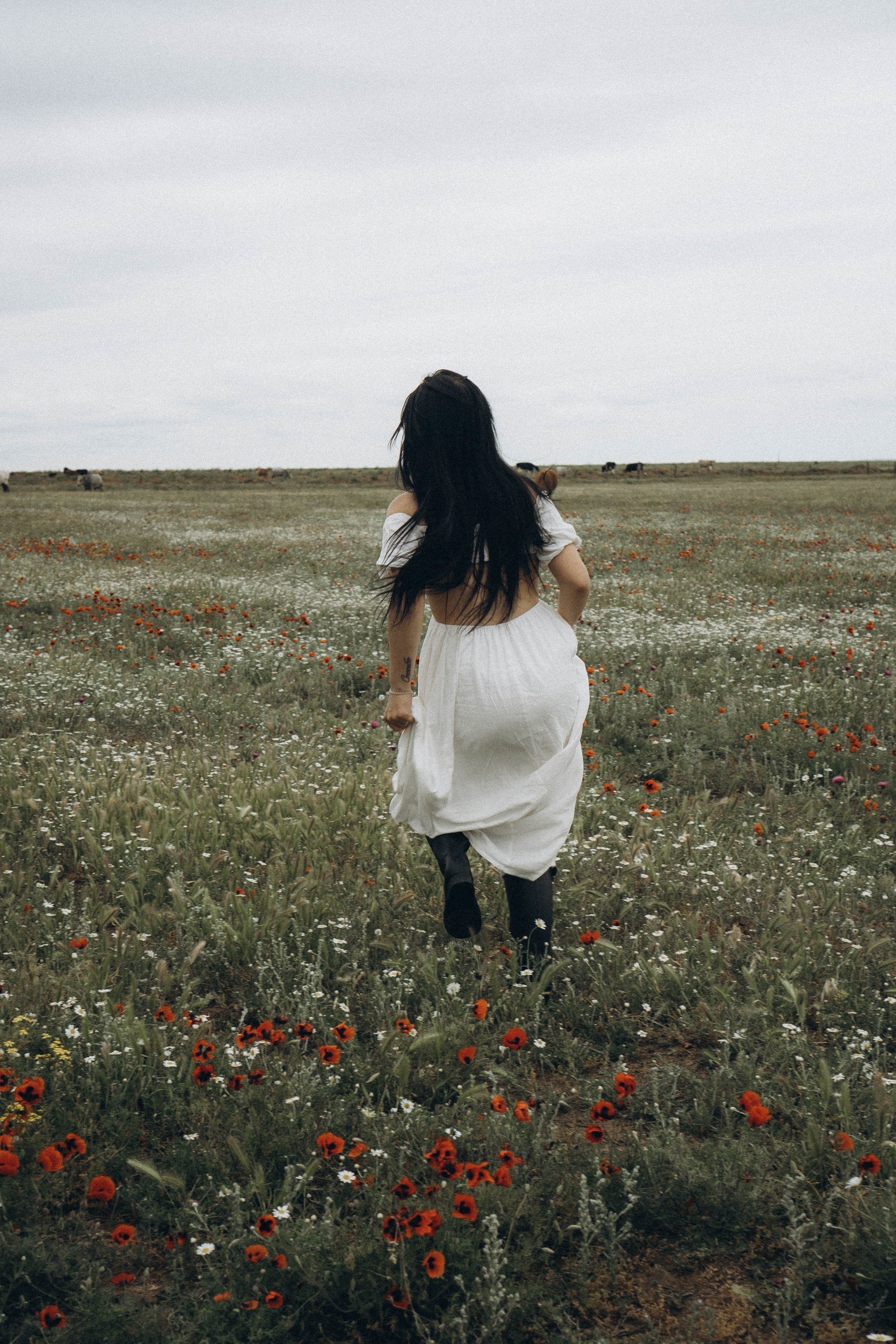 Маковое поле. Профессиональный фотограф, Санкт-Петербург — Виктория Богомолова