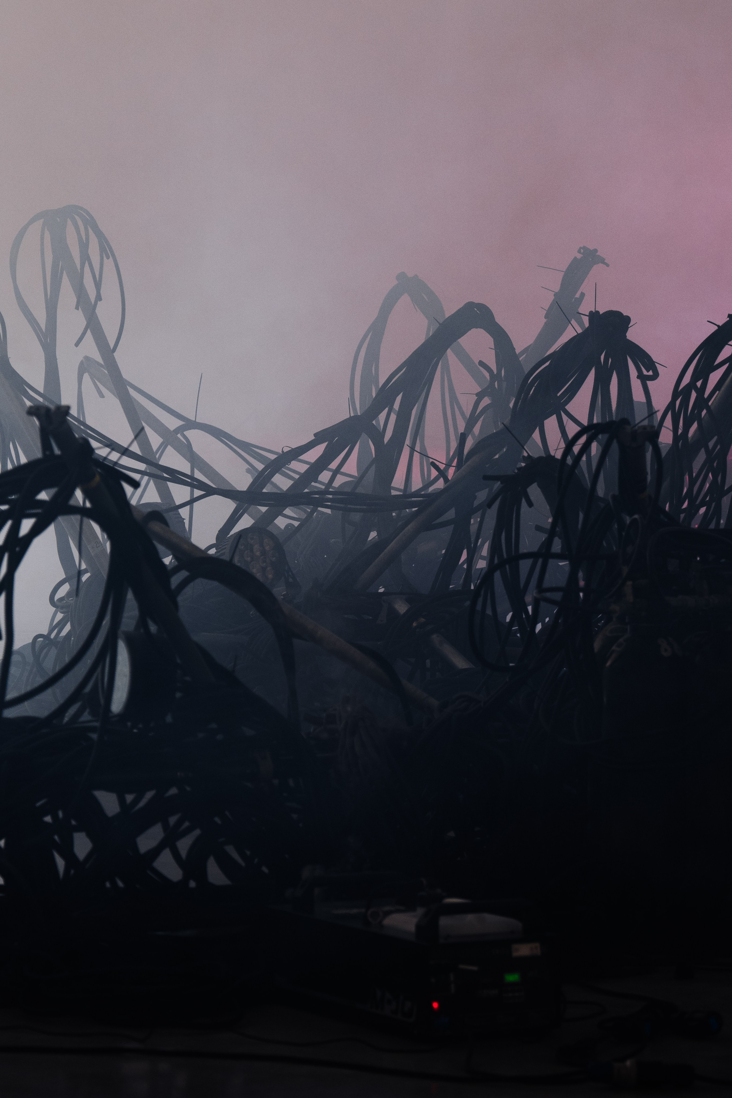 PANTERRA, CHRONOMORPH 001. @tomrus: Рустам Шагиморданов — фотограф