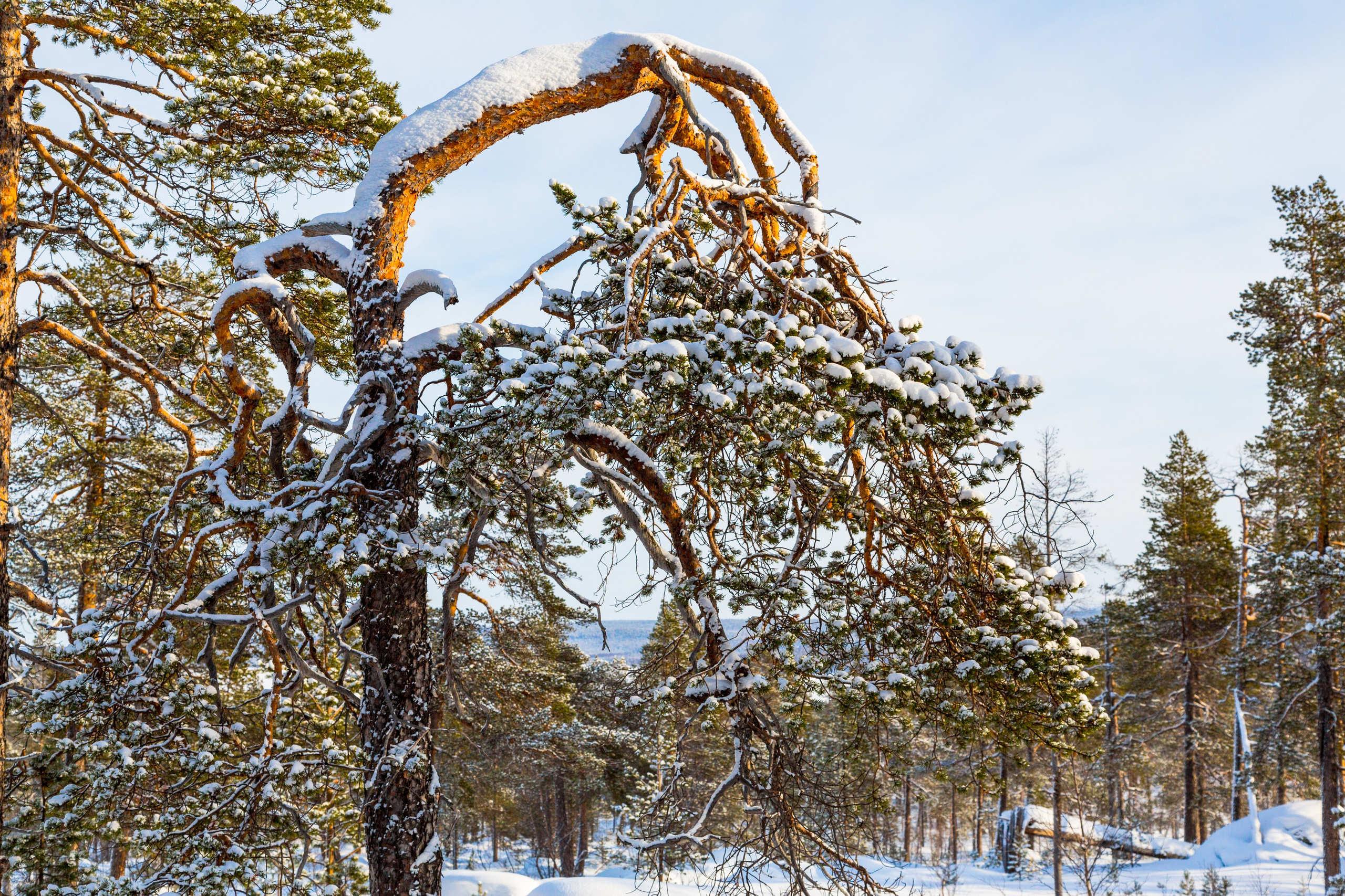 Зима. Пейзажи Крайнего Севера. Баренцево море, Рыбачий, Средний, Немецкий