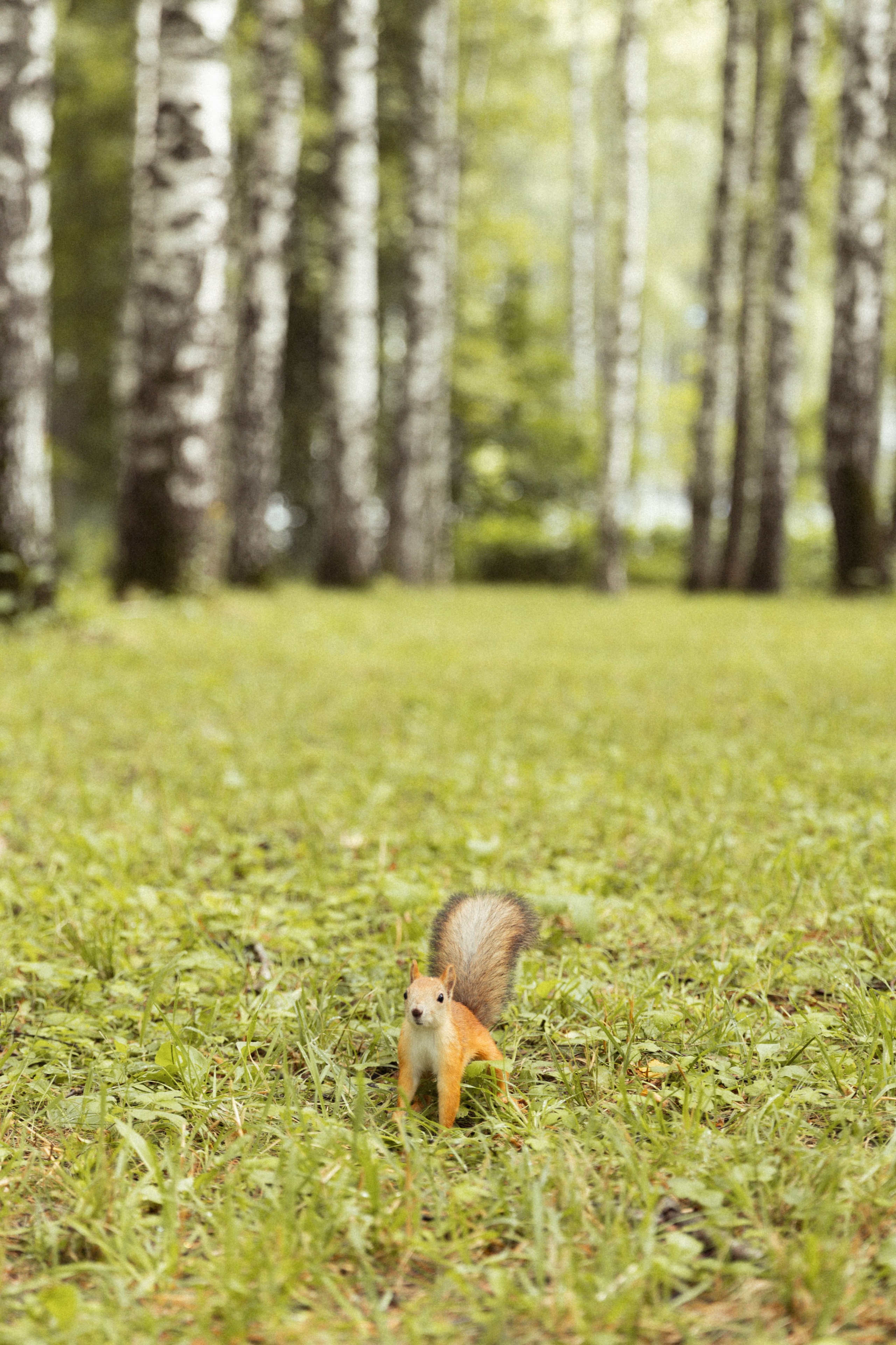Наташа и Настя. Фотограф в Нижнем Новгороде Воробьева Анжела