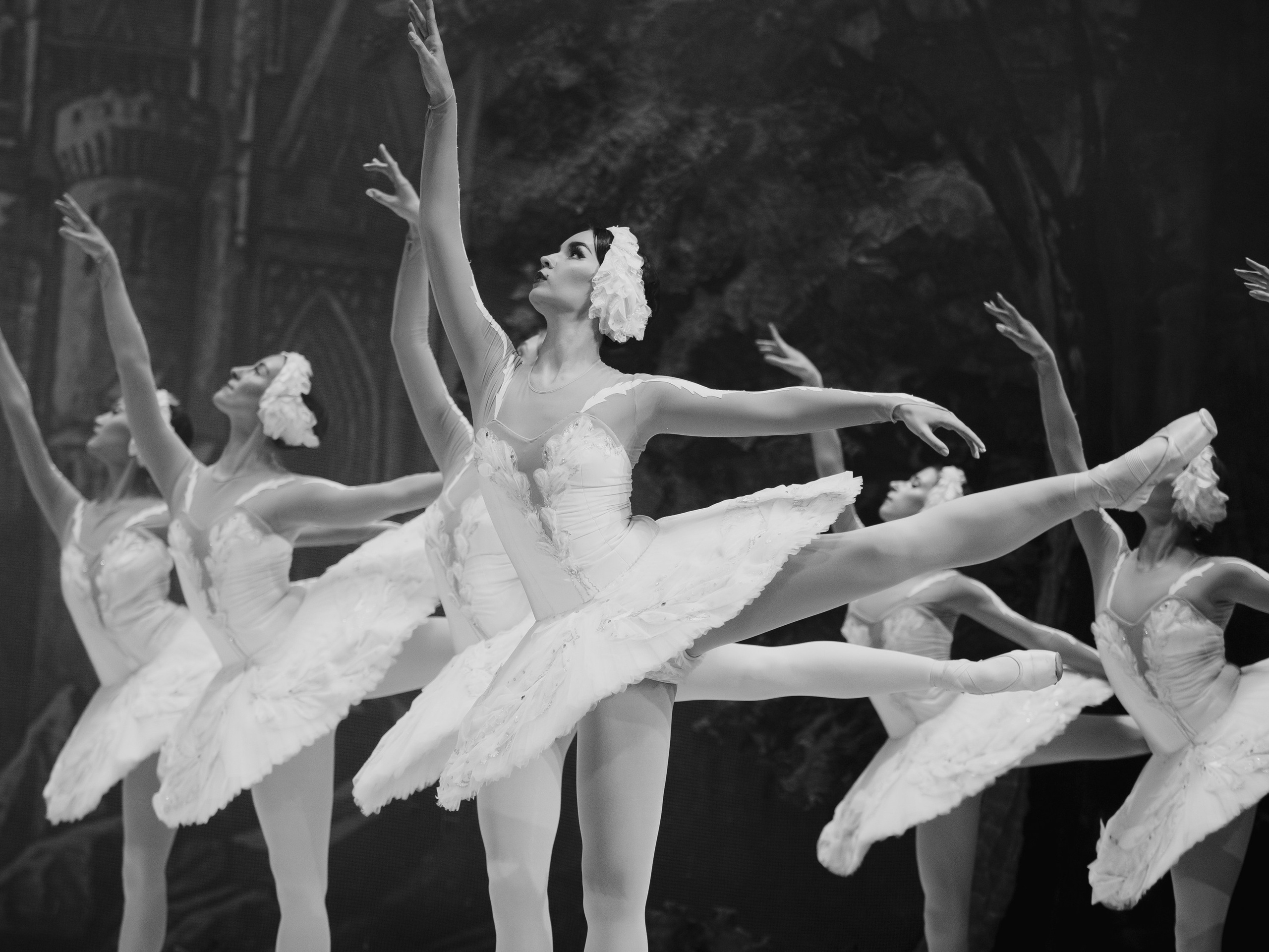 Балет «Лебединое озеро». Маруся Машкова • Фотограф в Москве