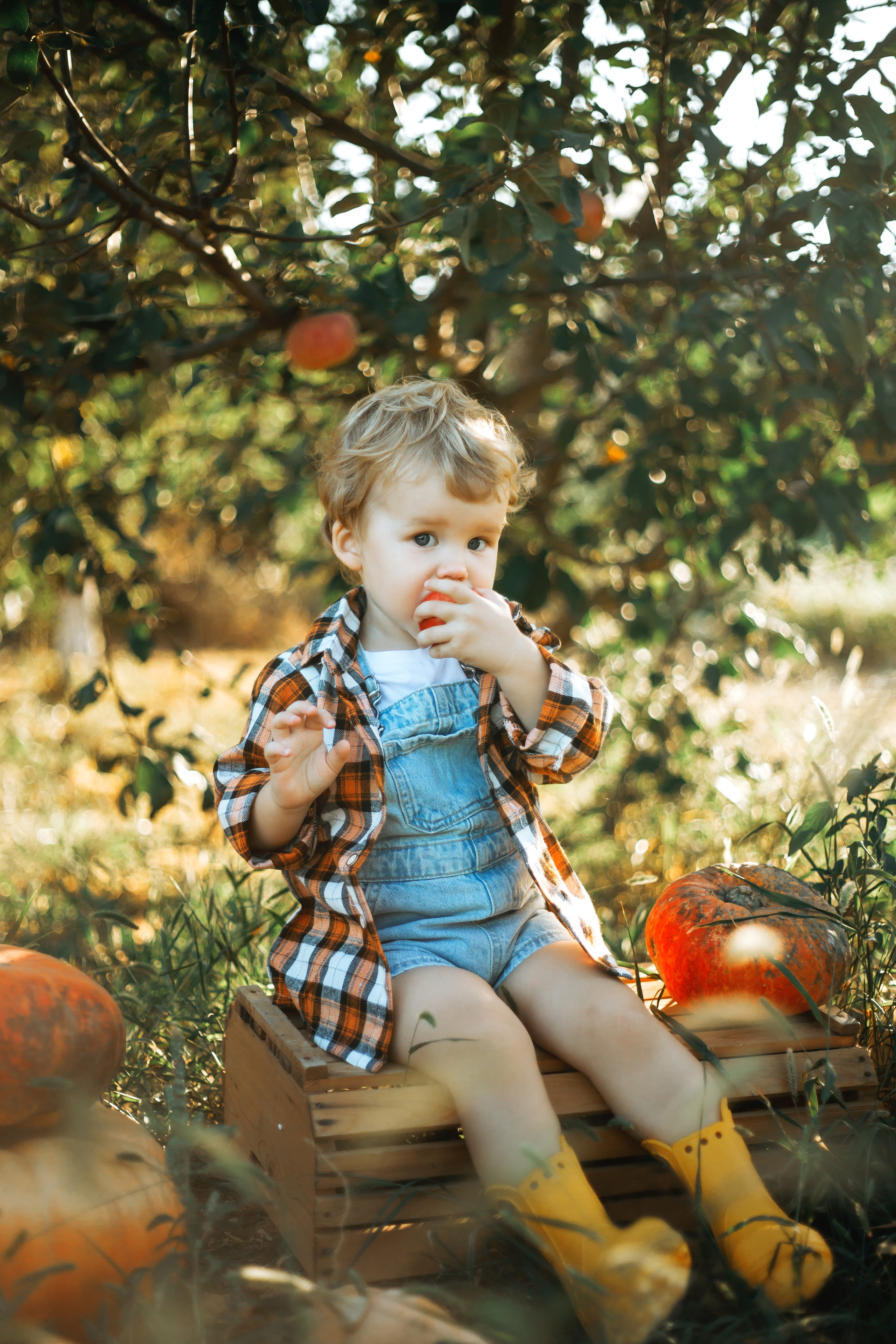 Фотосессия детская с тыквами. Свадебный и семейный фотограф в Краснодарском крае Мария Данилкина