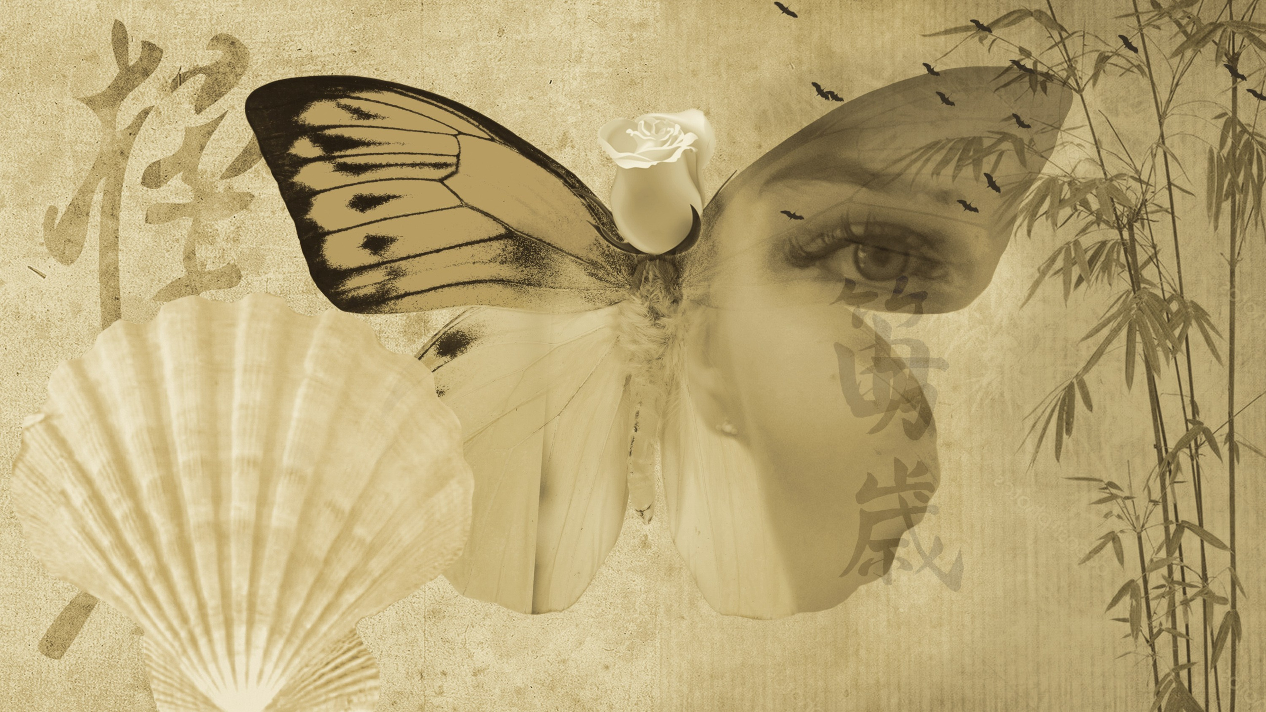 Артворки с участием моих моделей. Фотограф в Москве Виталий Мишкин