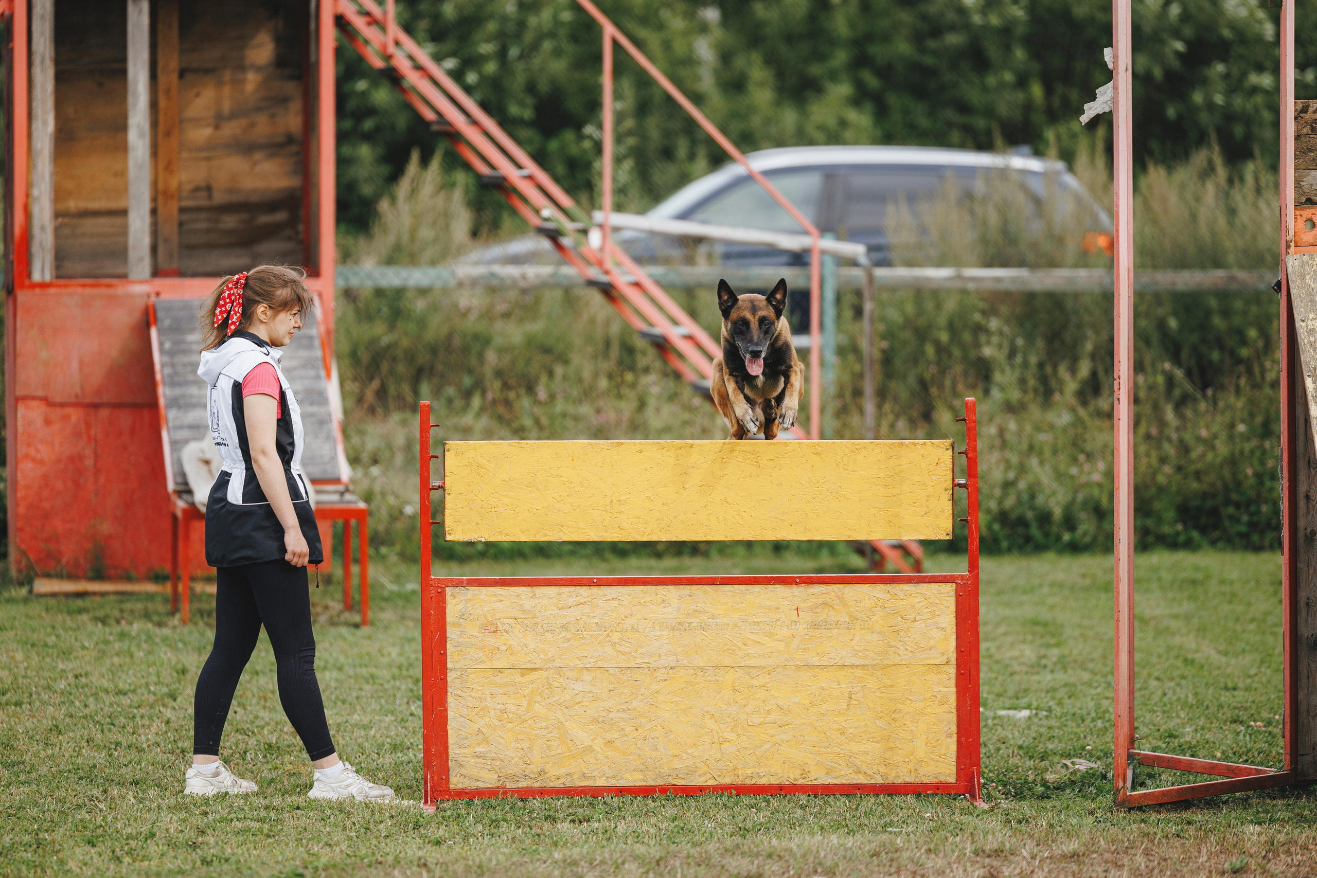 08.08.25-10.08.25 ЧР по мондьорингу г. Вологда. Фотограф-анималист Анна Маринич