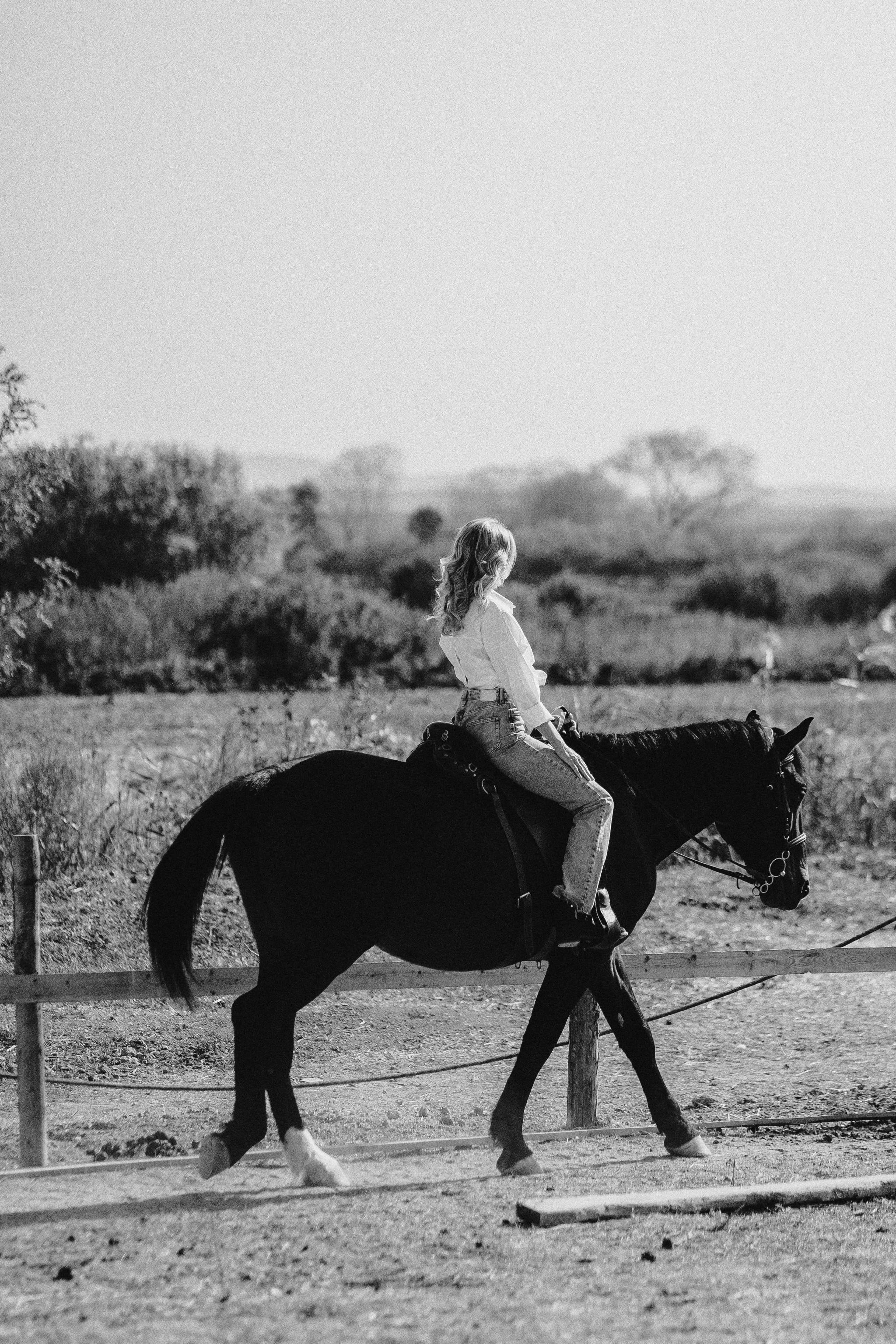 BlackHorse. Фотограф в Анапе Муратова Анна