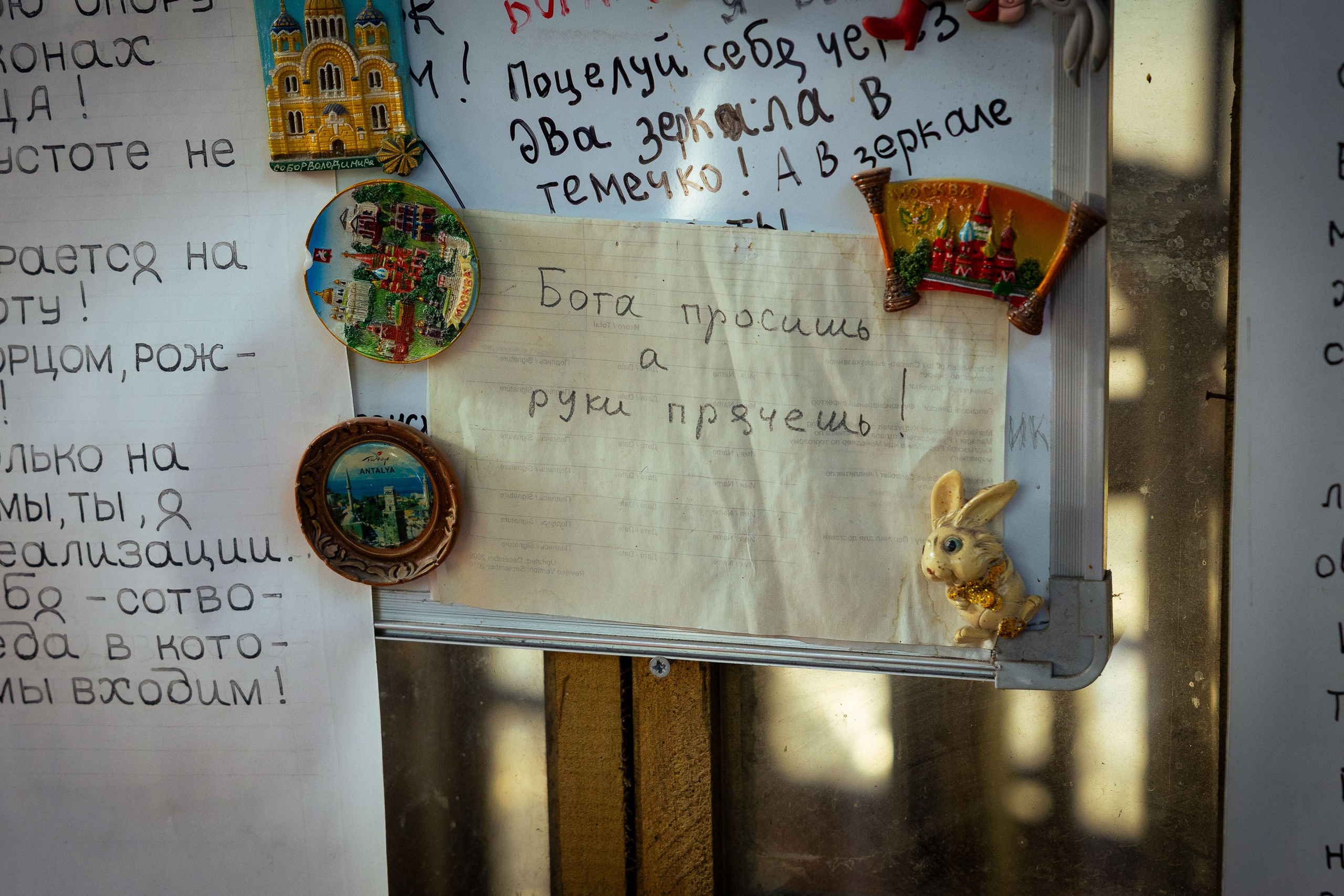 Кыргызстан (весна 2025). Фотограф Виноградов Константин