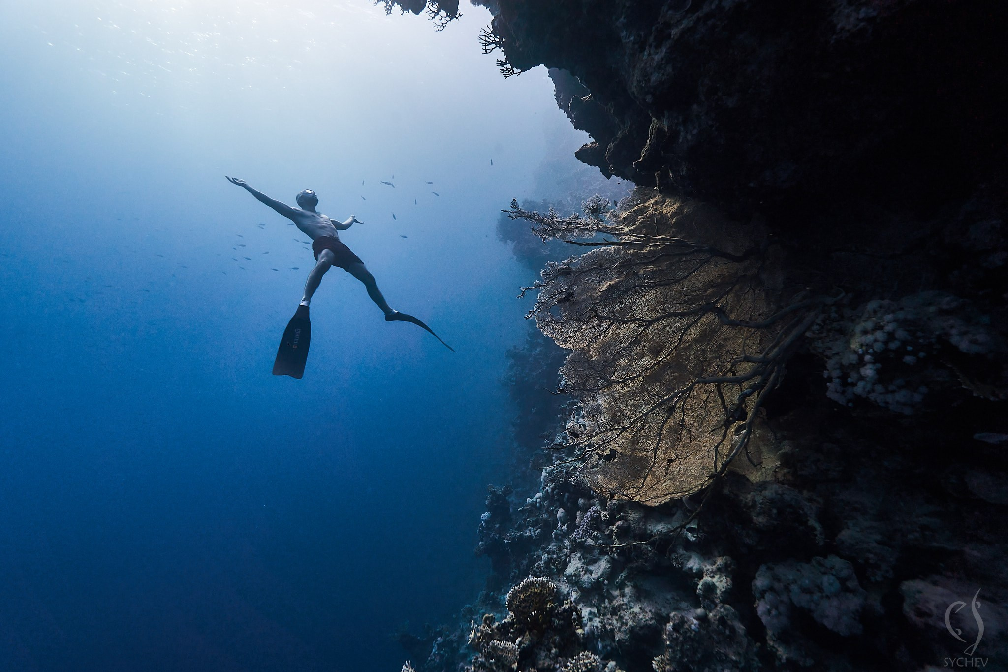 Подводная съемка в море. Главная