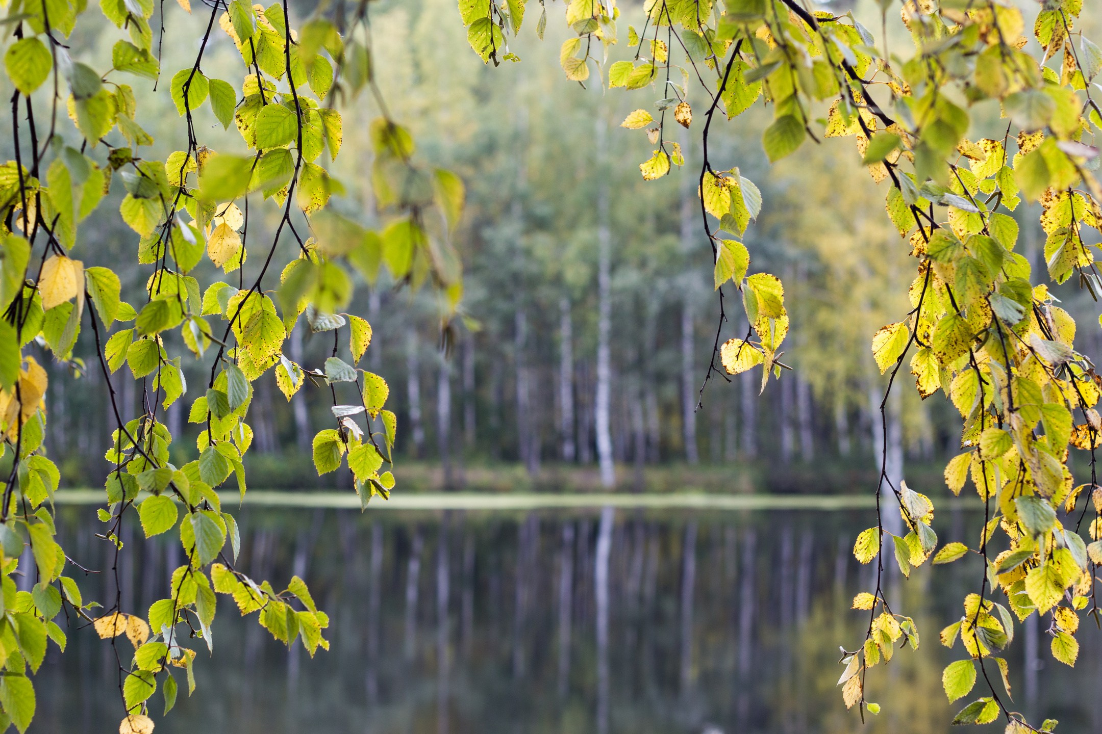 Пейзажные фотографии. Евгений Restwin — Пейзажный и репортажный фотограф