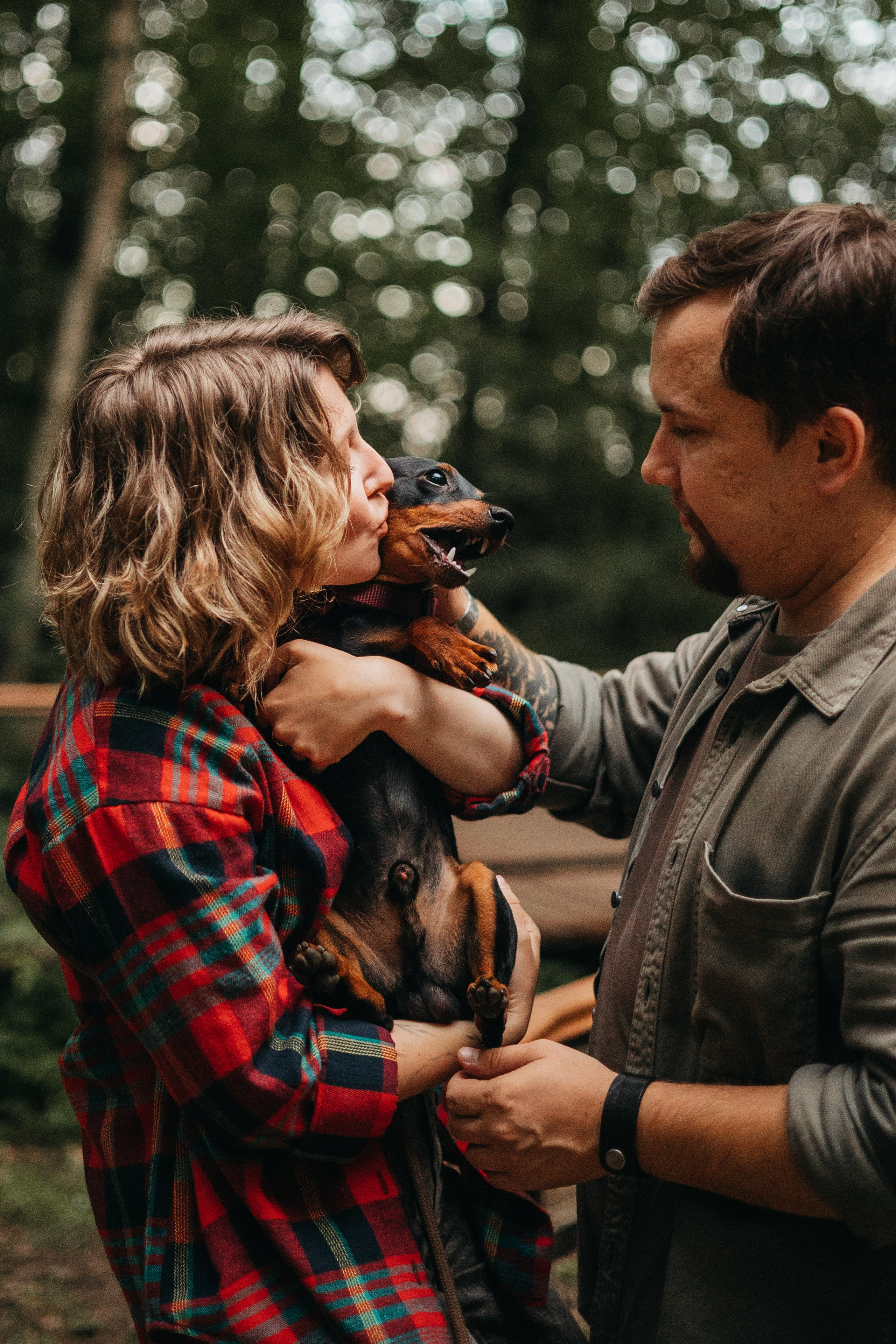 Сириус и его семья. Фотограф — Анималист | Санкт-Петербург