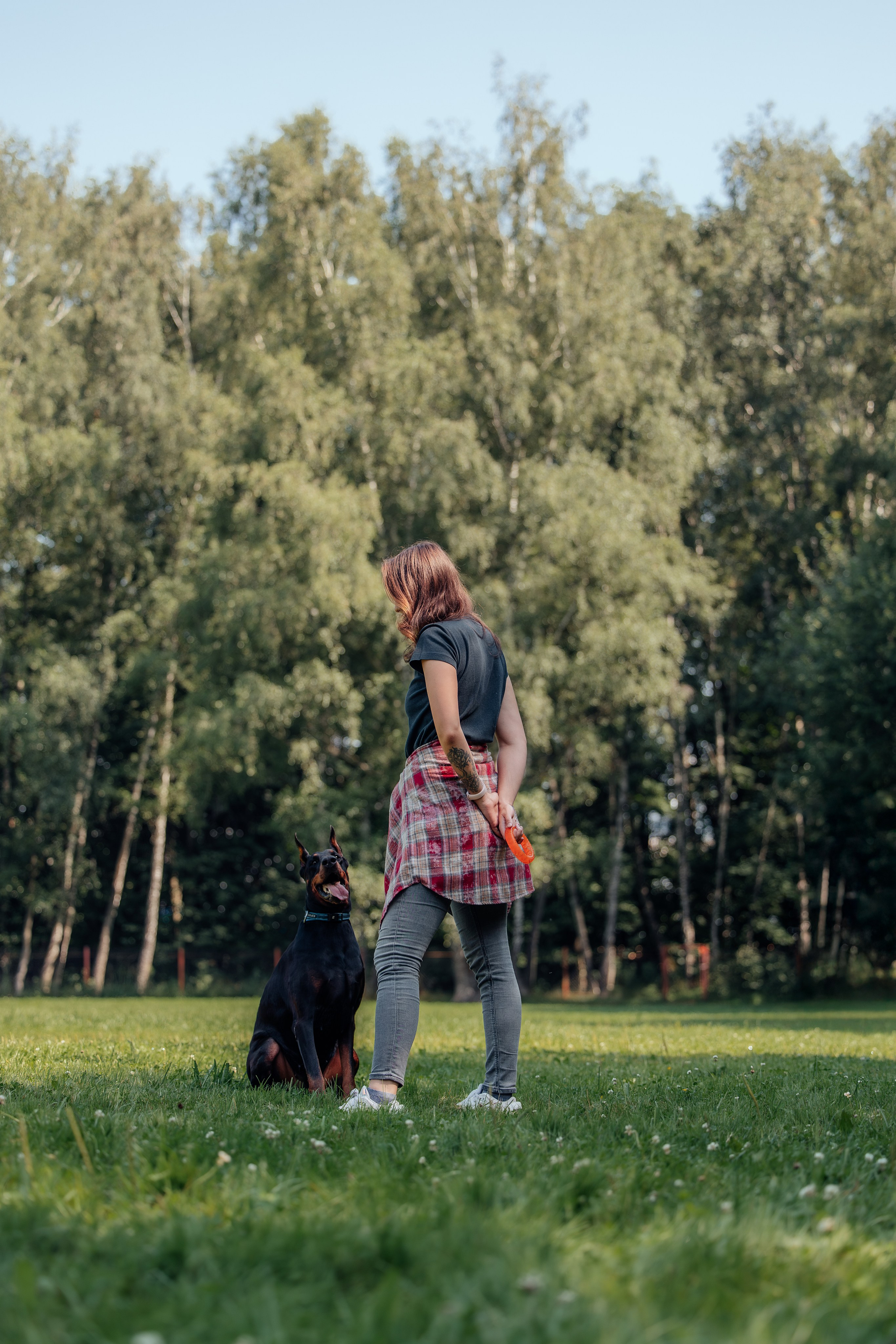 Доберман Айза. Фотограф Анималист в Москве Анастасия Жучкова