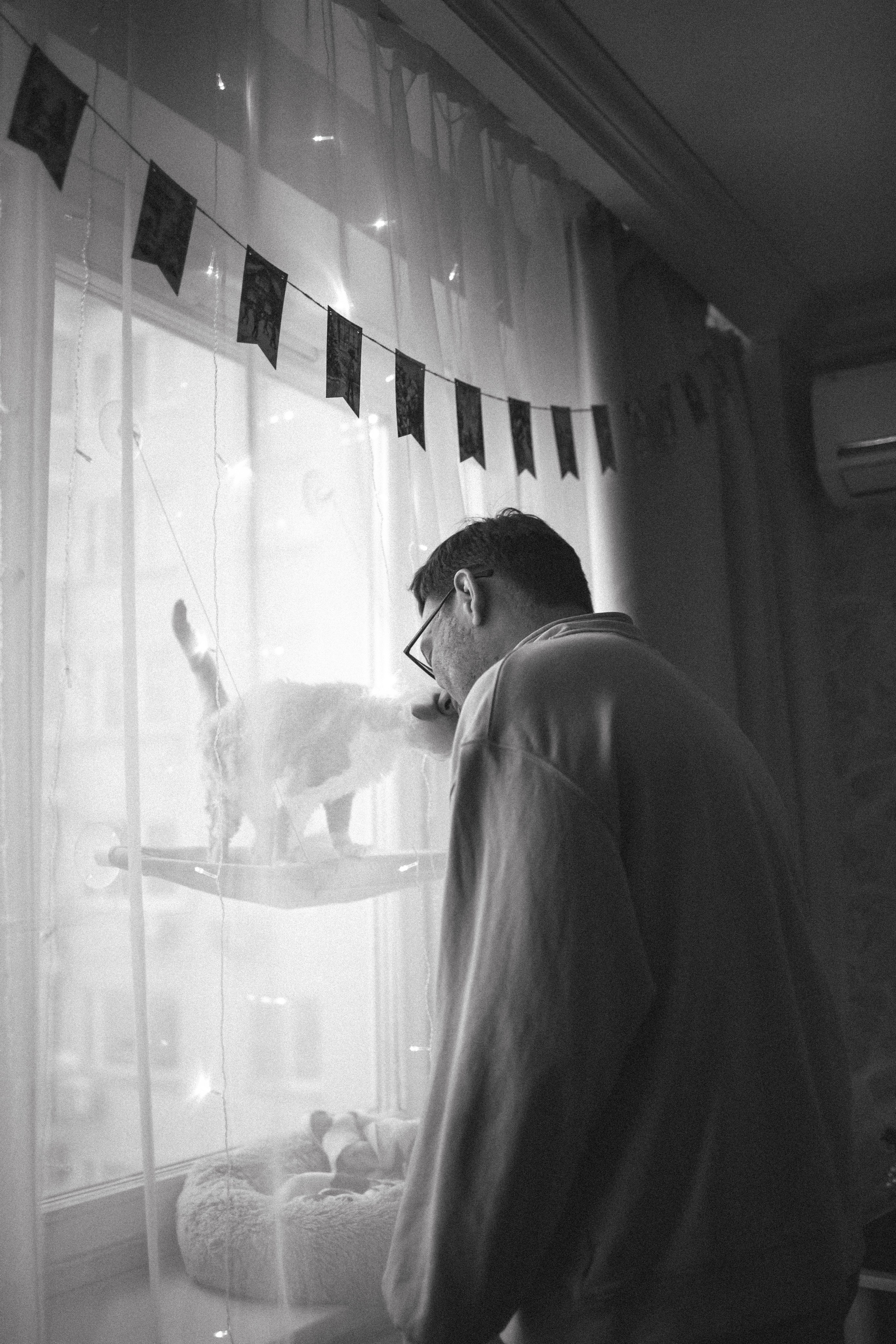 Домашняя новогодняя. Фотограф Анималист в Москве Анастасия Жучкова