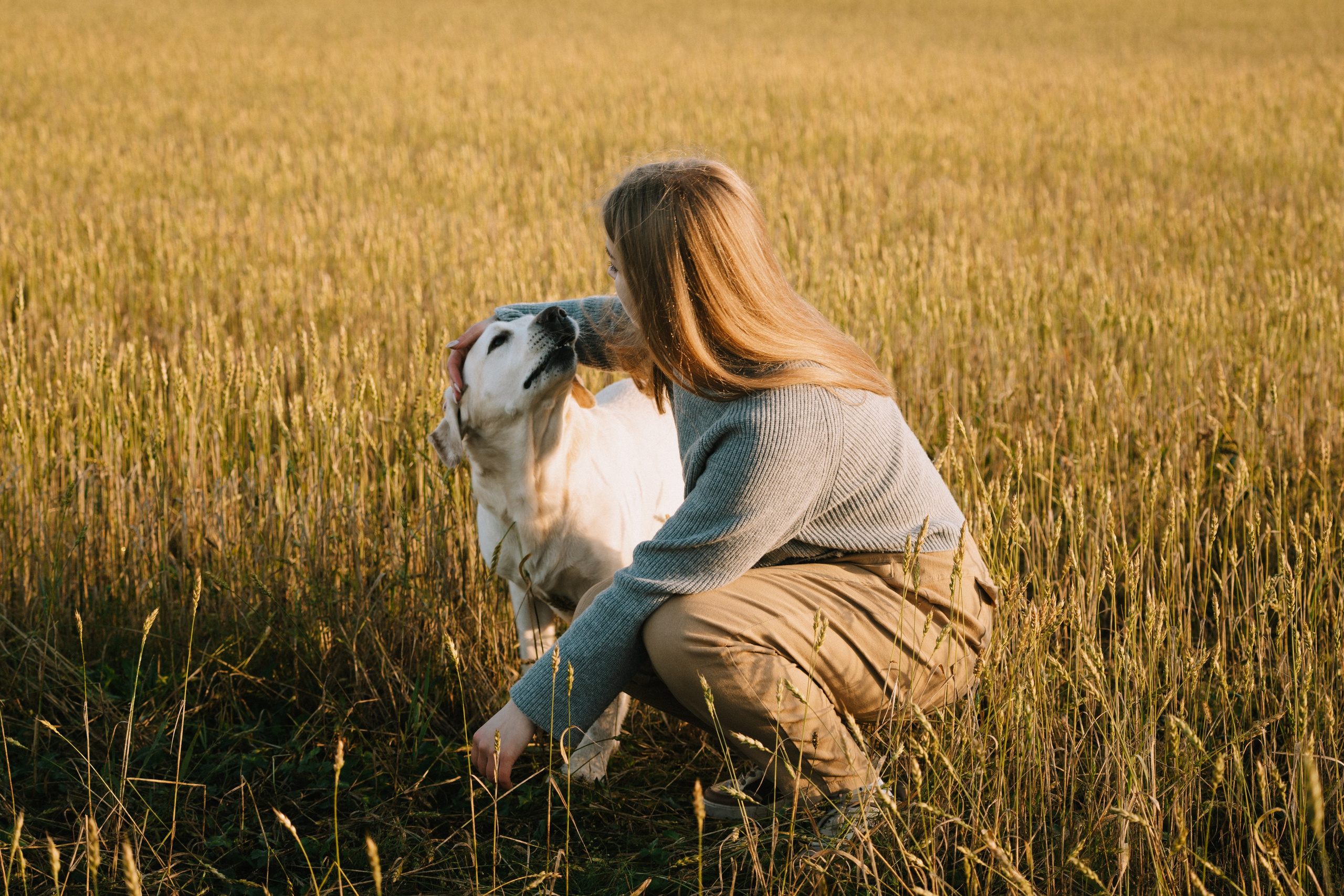 Дана и Арчи. Фотограф-анималист Анастасия Большакова