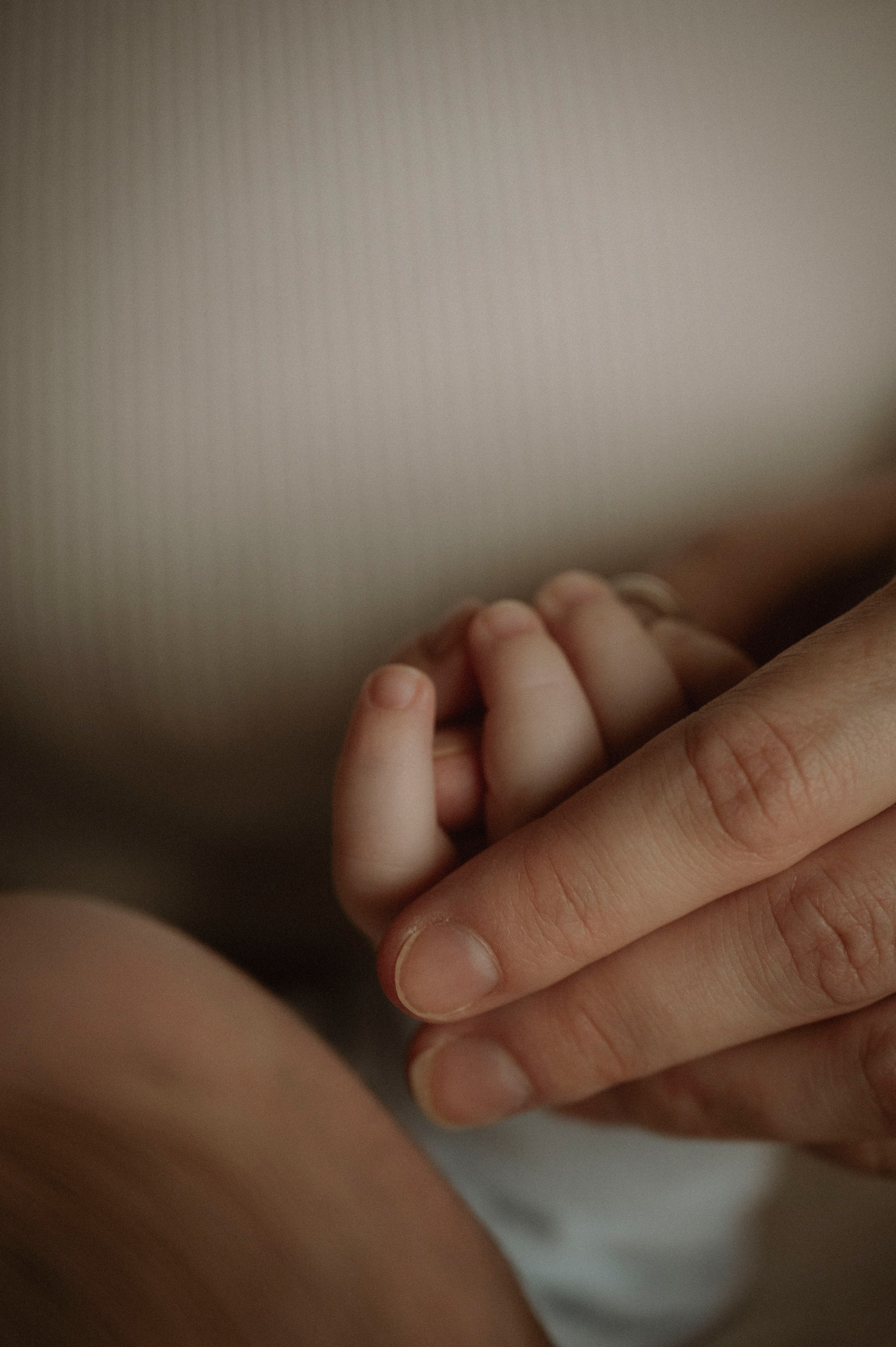 Домашняя семейная фотосессия. Фотограф беременных, лайфстаил фотограф, Ньюборн фотограф, все включено