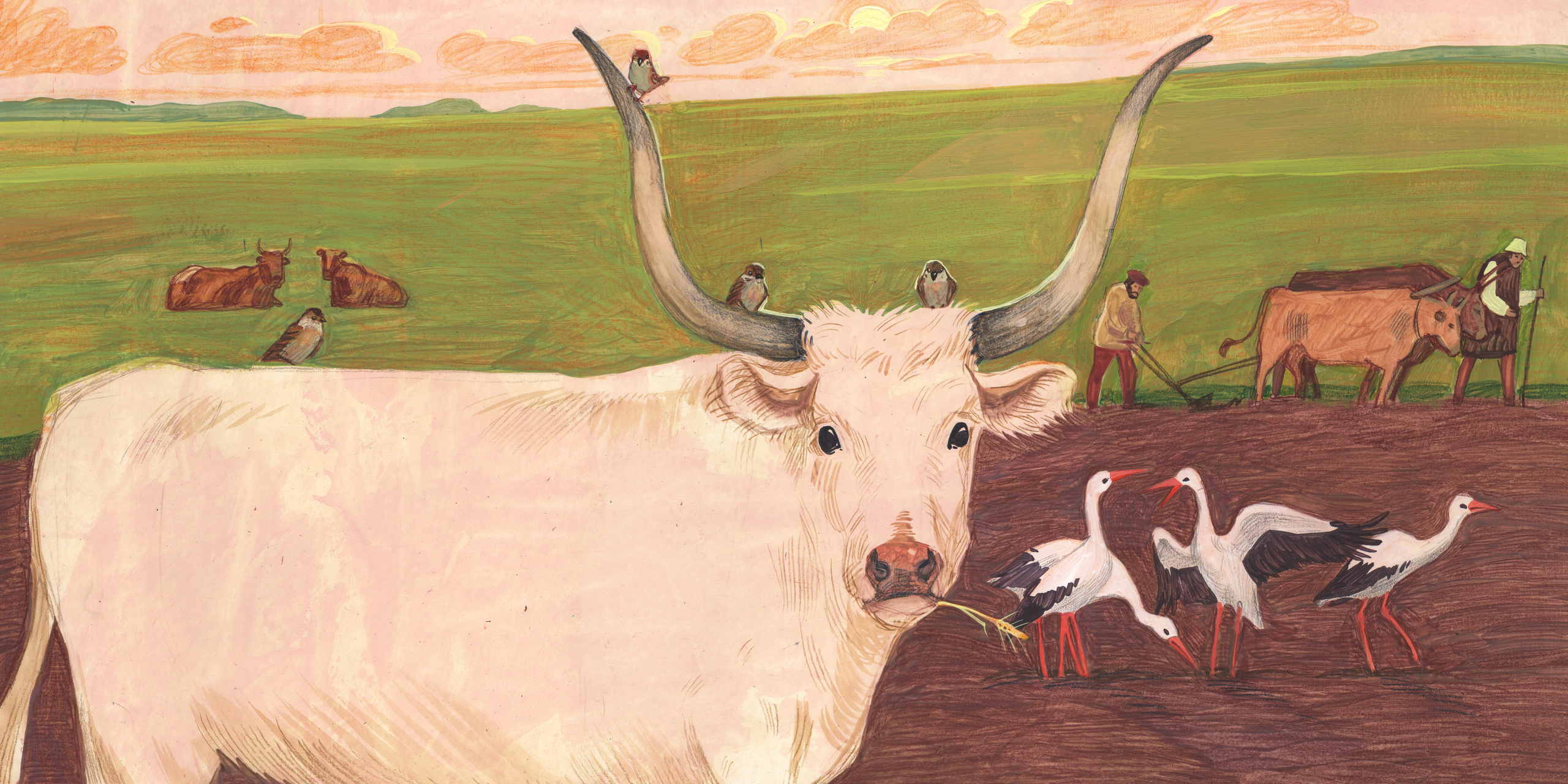 Г. Х. Андерсен «История года». Художник Анна Хопта