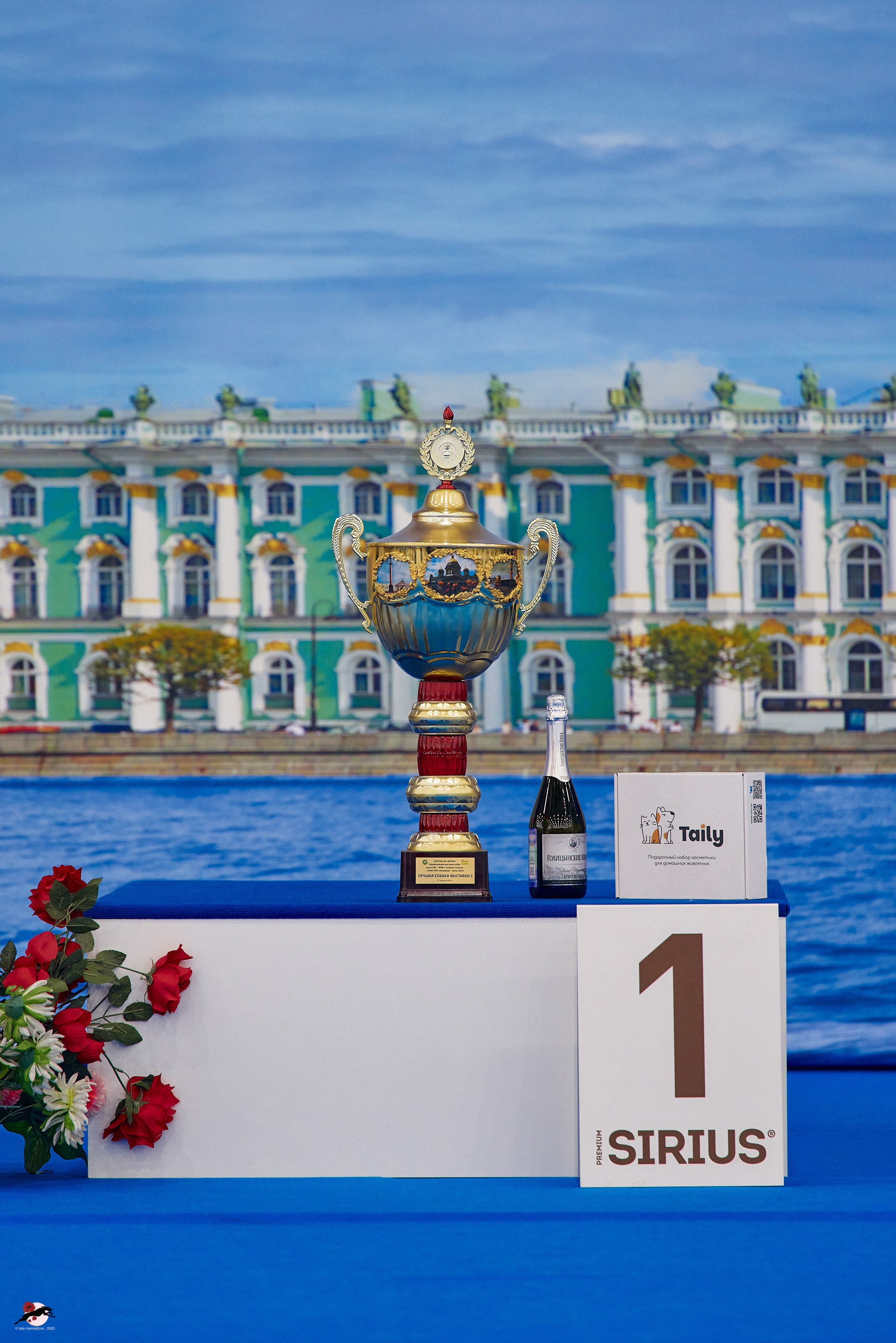 27.04.2025 | "Петербург-Элита 2025" & «КУБОК «ЭЛИТЫ»-2025»