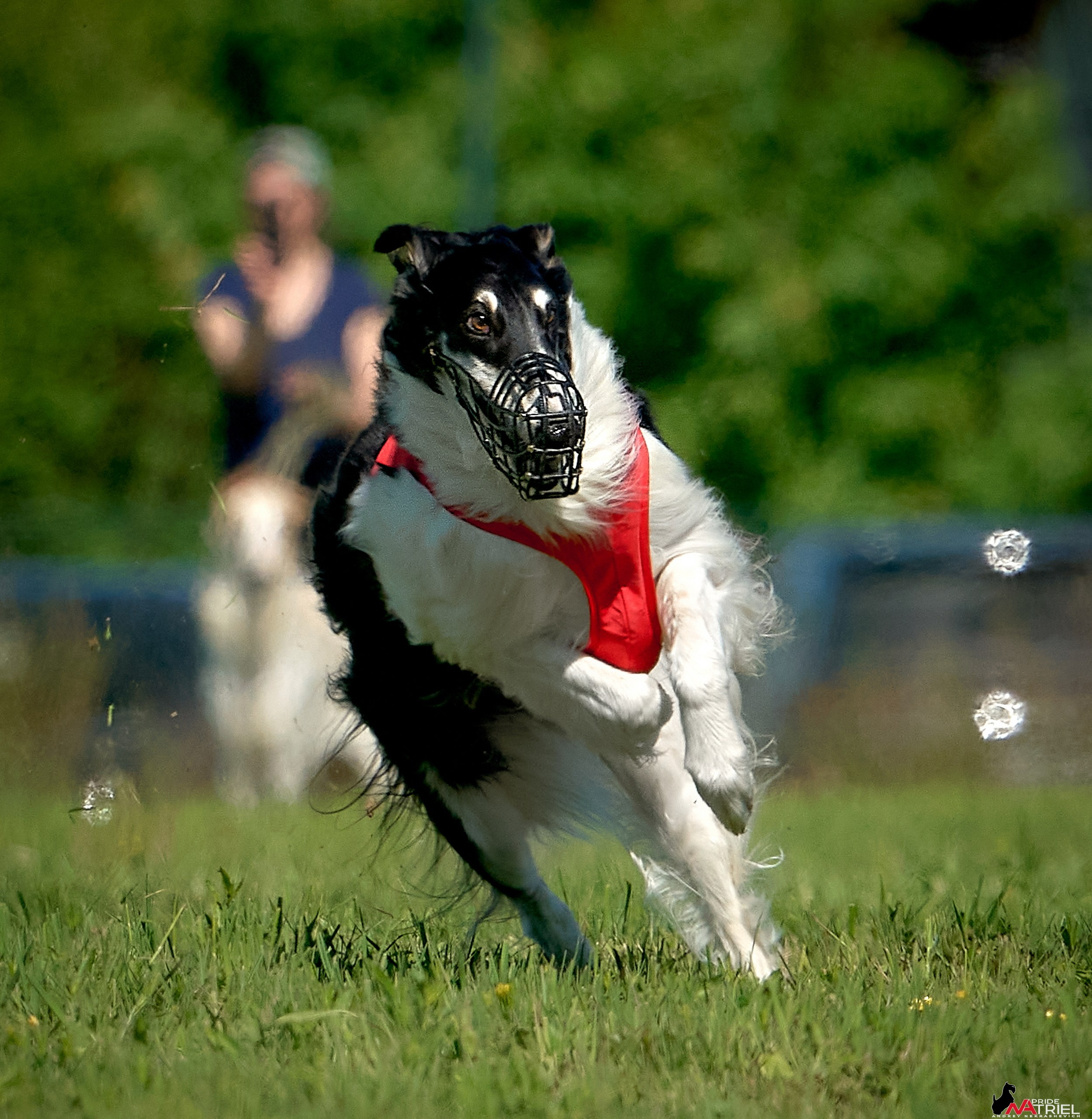 Съемка курсинг — галерея NATRIEL