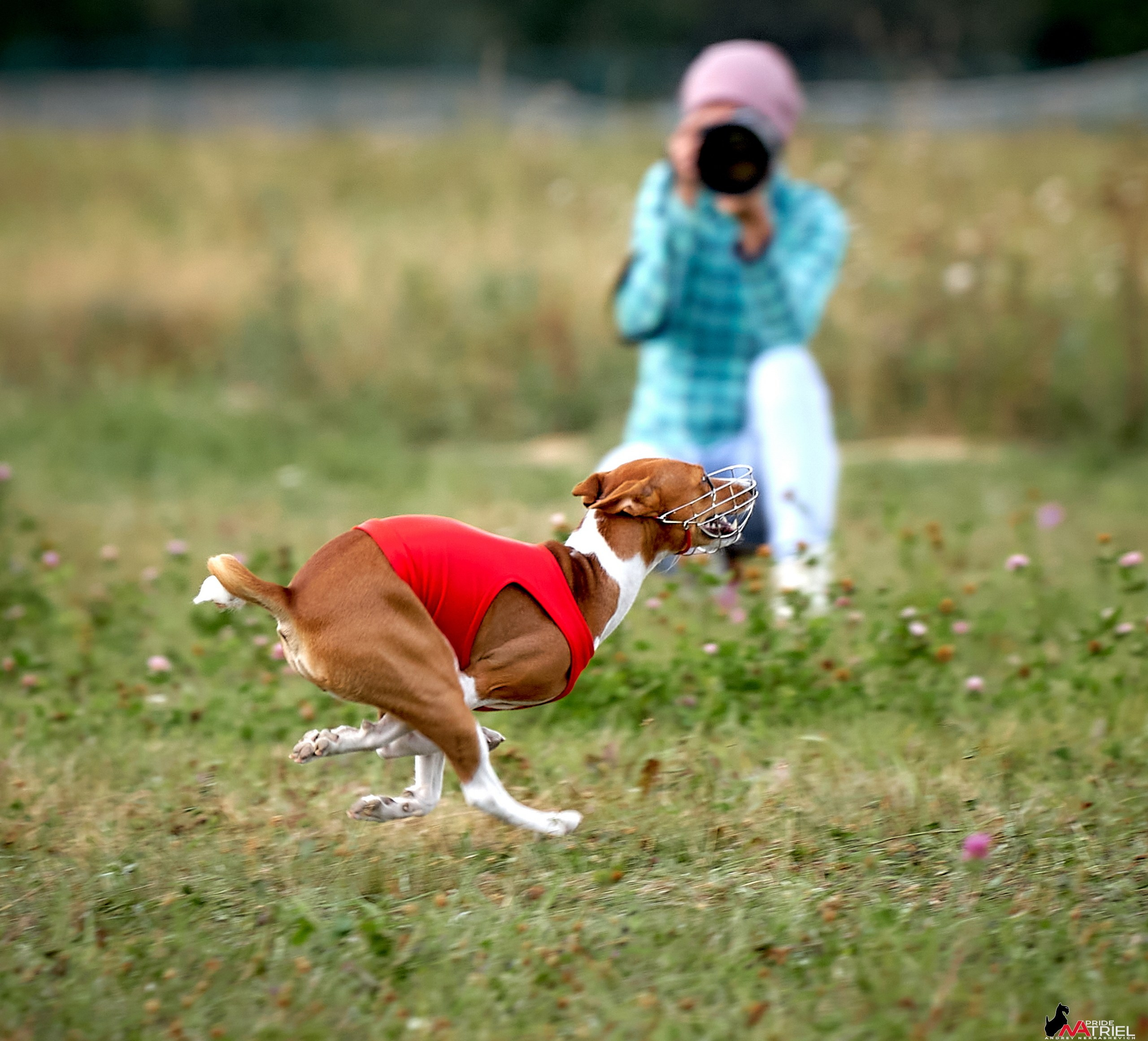 Съемка курсинг — галерея NATRIEL