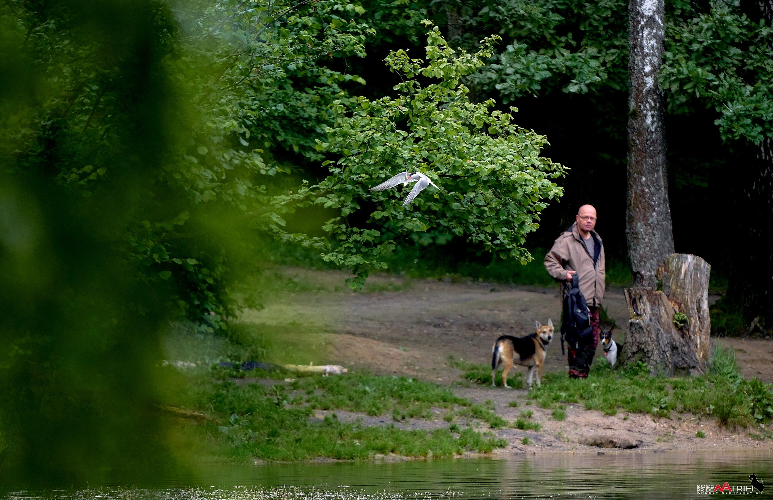 Съемка в парке на воде