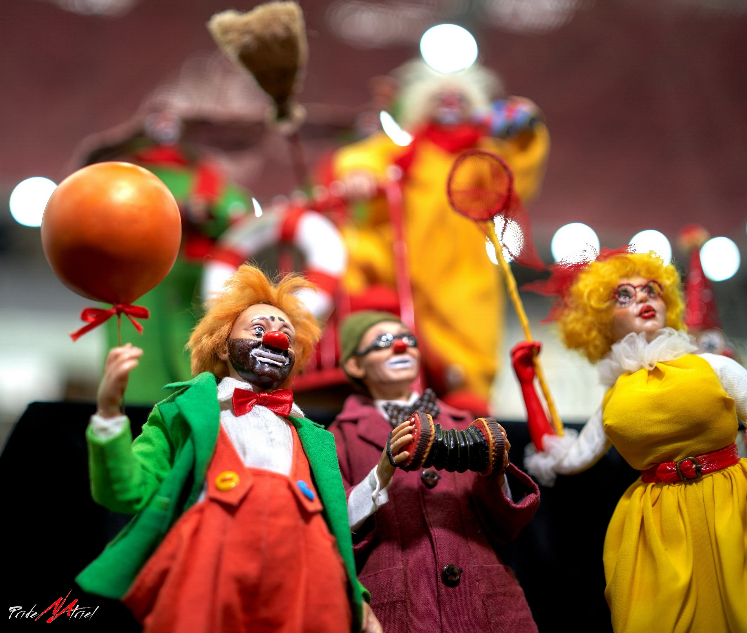 Съемка мероприятий — галерея NATRIEL