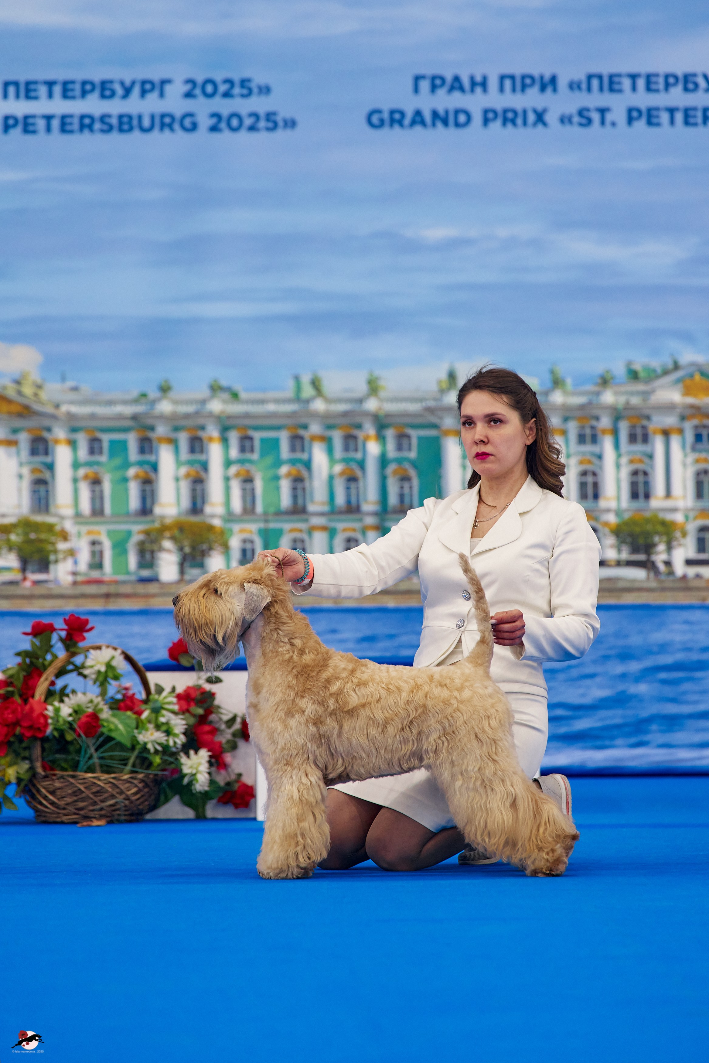 27.04.2025 | "Петербург-Элита 2025" & «КУБОК «ЭЛИТЫ»-2025»