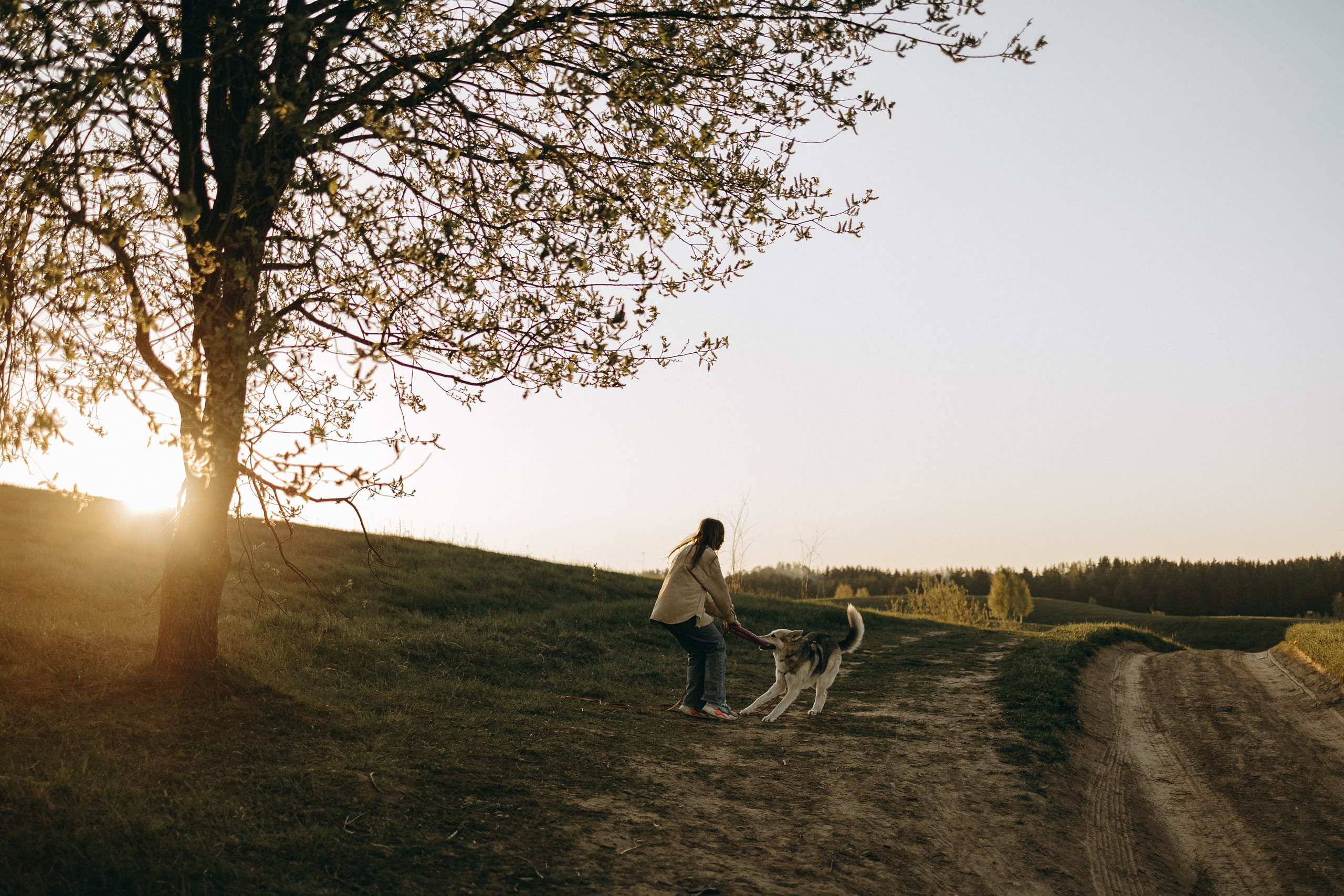 Саша и Зельда. Фотограф — Анималист | Санкт-Петербург
