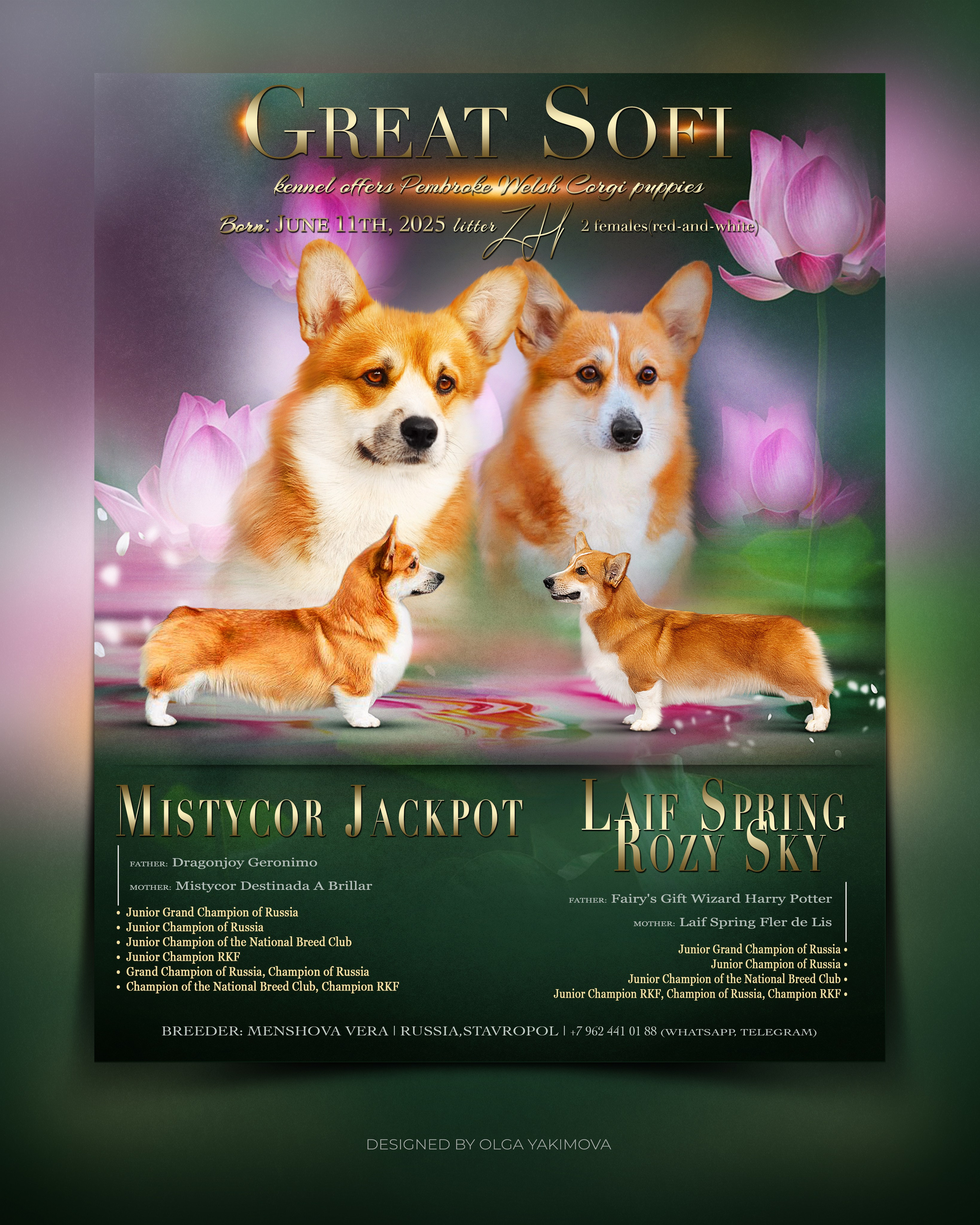 Animal presentation. Фотограф