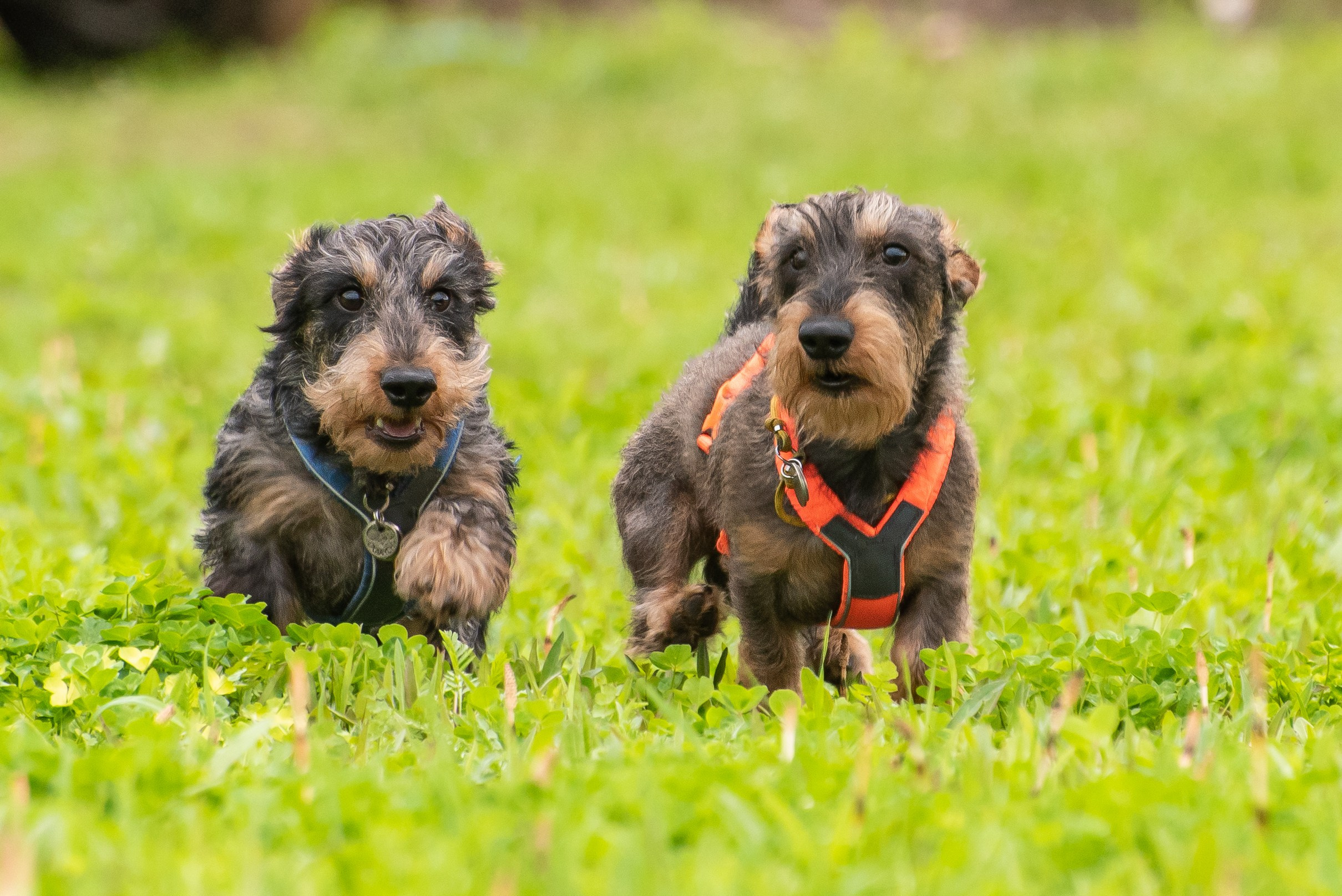 Фотографии с Курсинга. Фотограф Макс Огурцов в Нижнем Новгороде