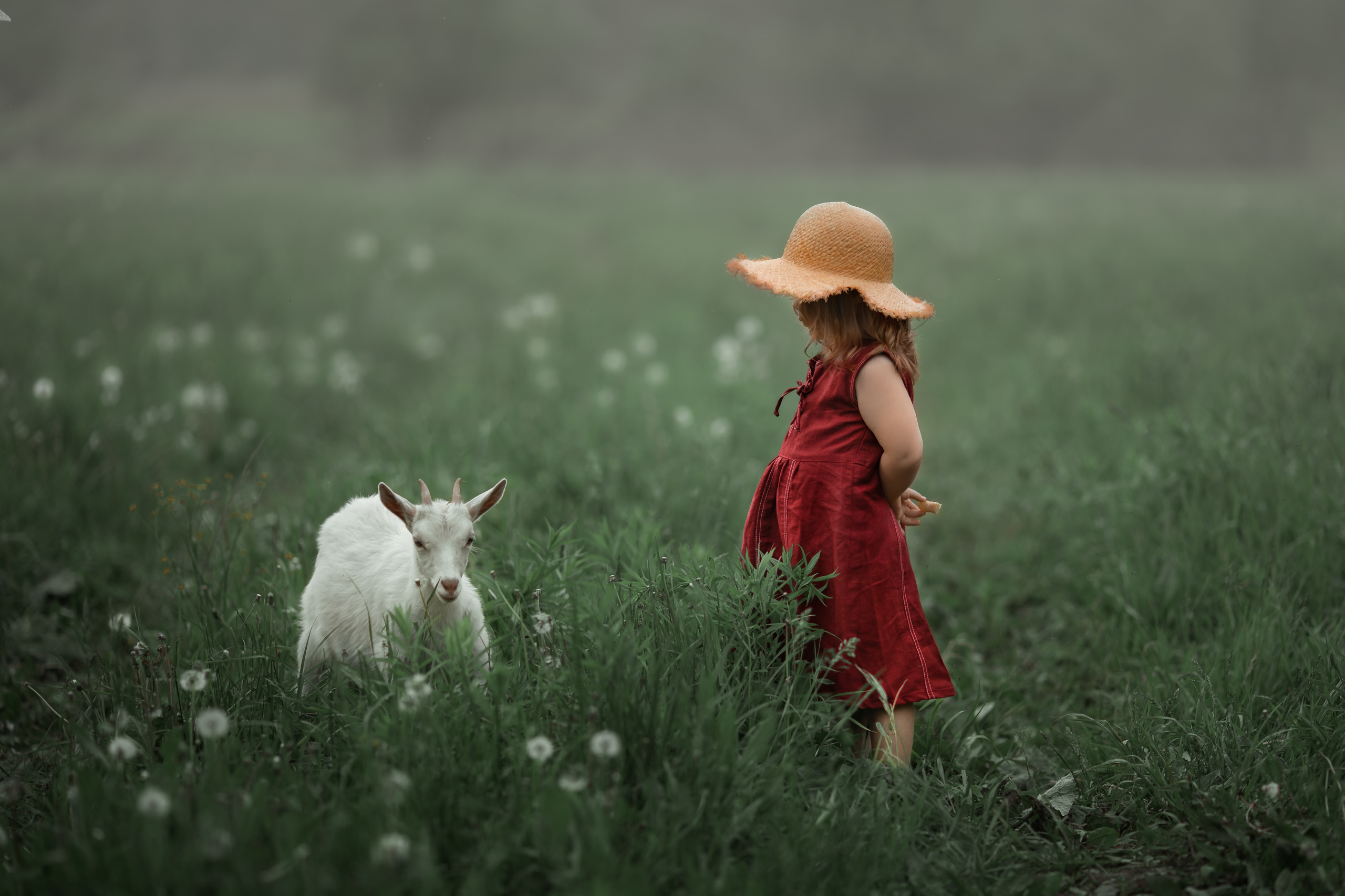 Детская фотосъемка в Нижнем новгороде. Arma Gray — Нижний Новгород